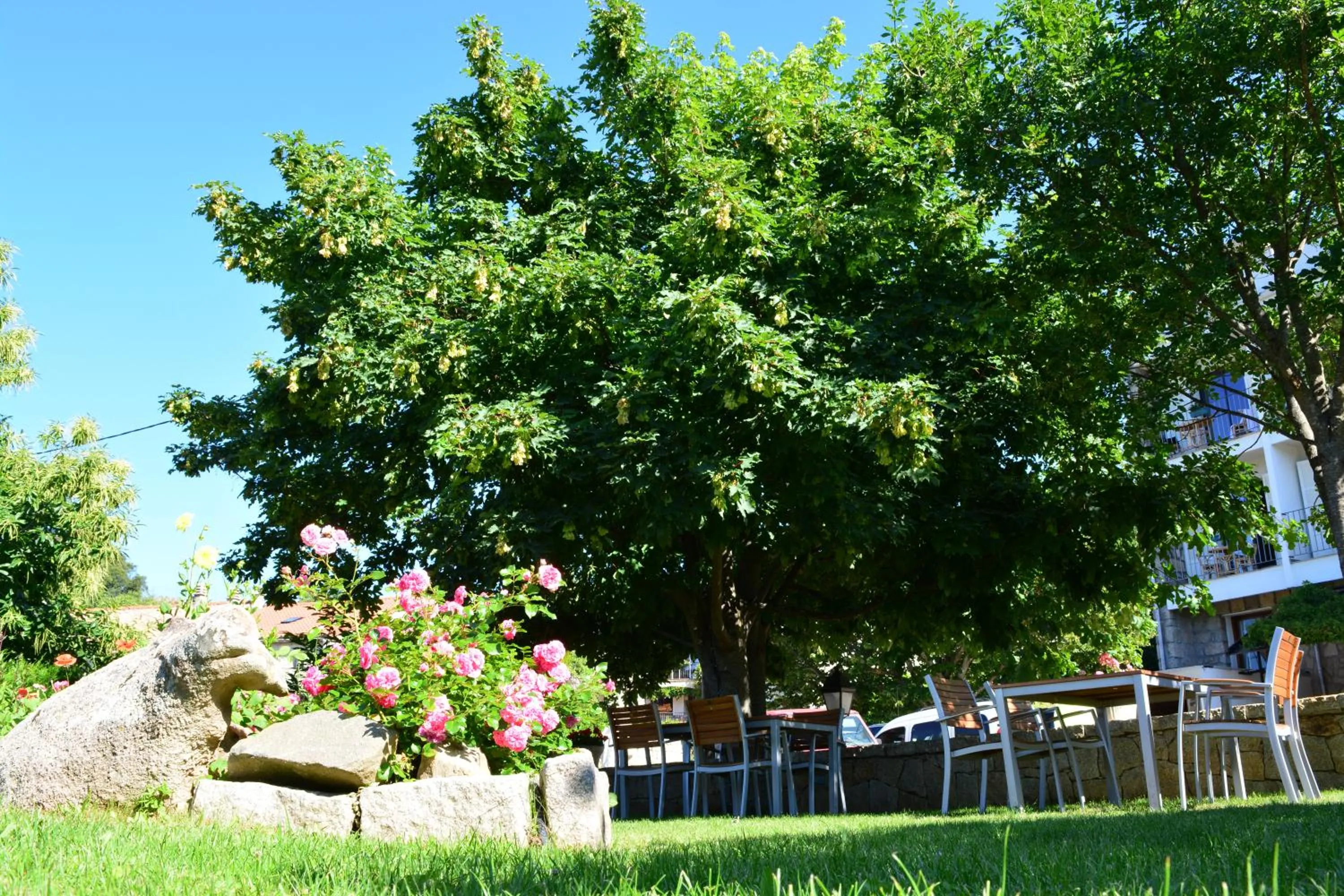 Balcony/Terrace in Sole E Monti