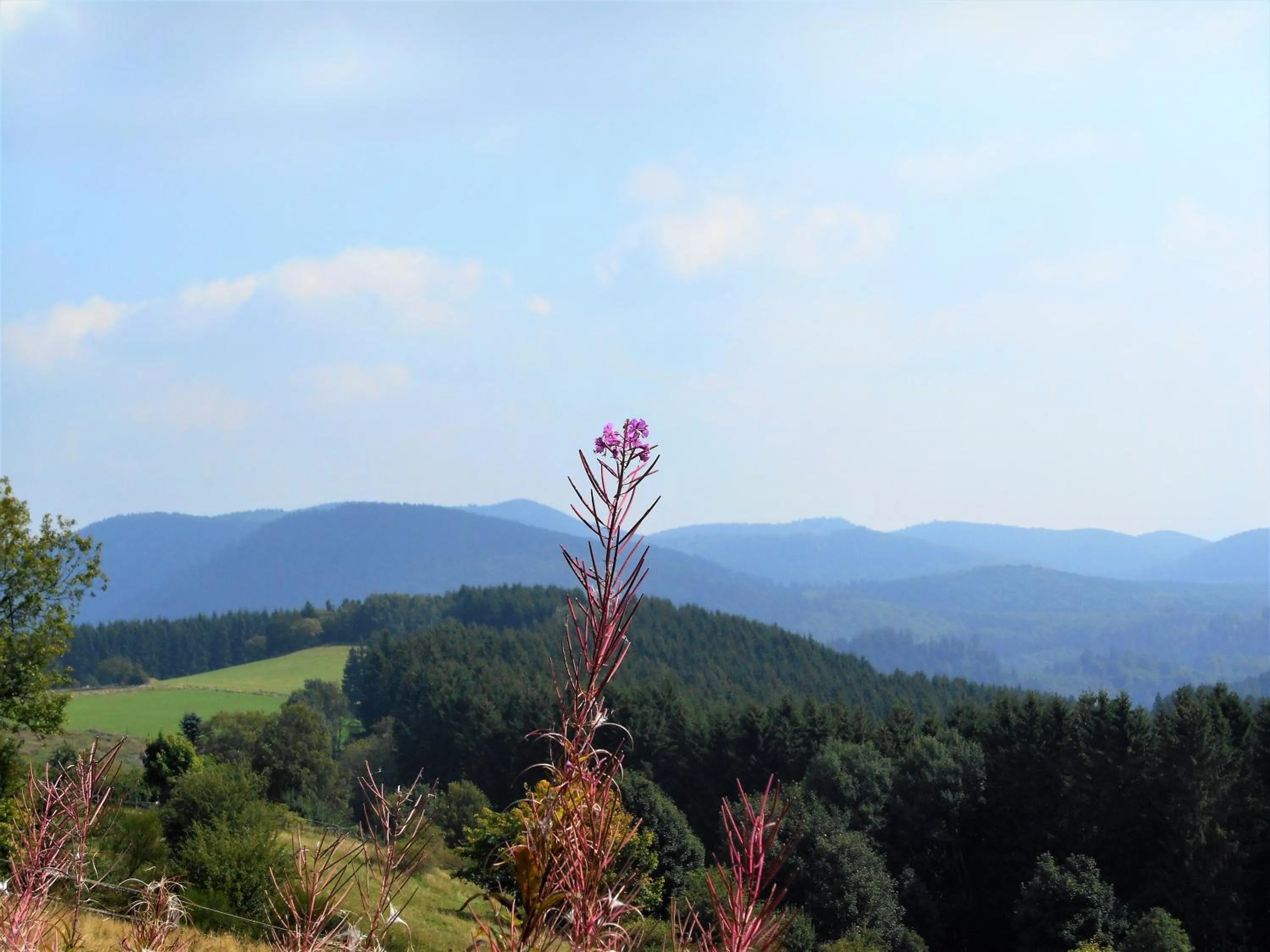 Natural landscape in Apartment Blickfang Winterberg