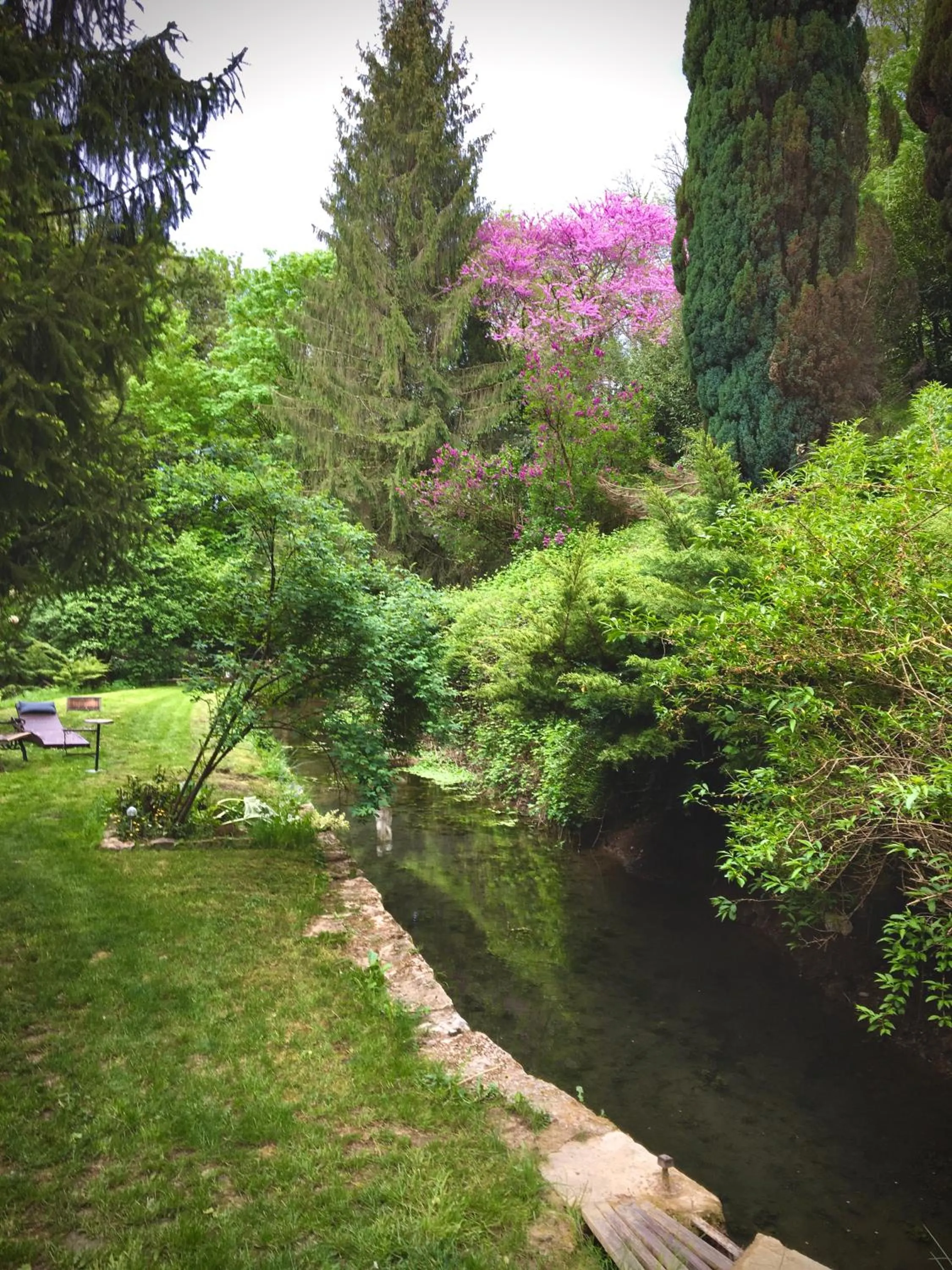 Garden in Domaine Du Moulin Vallée Heureuse