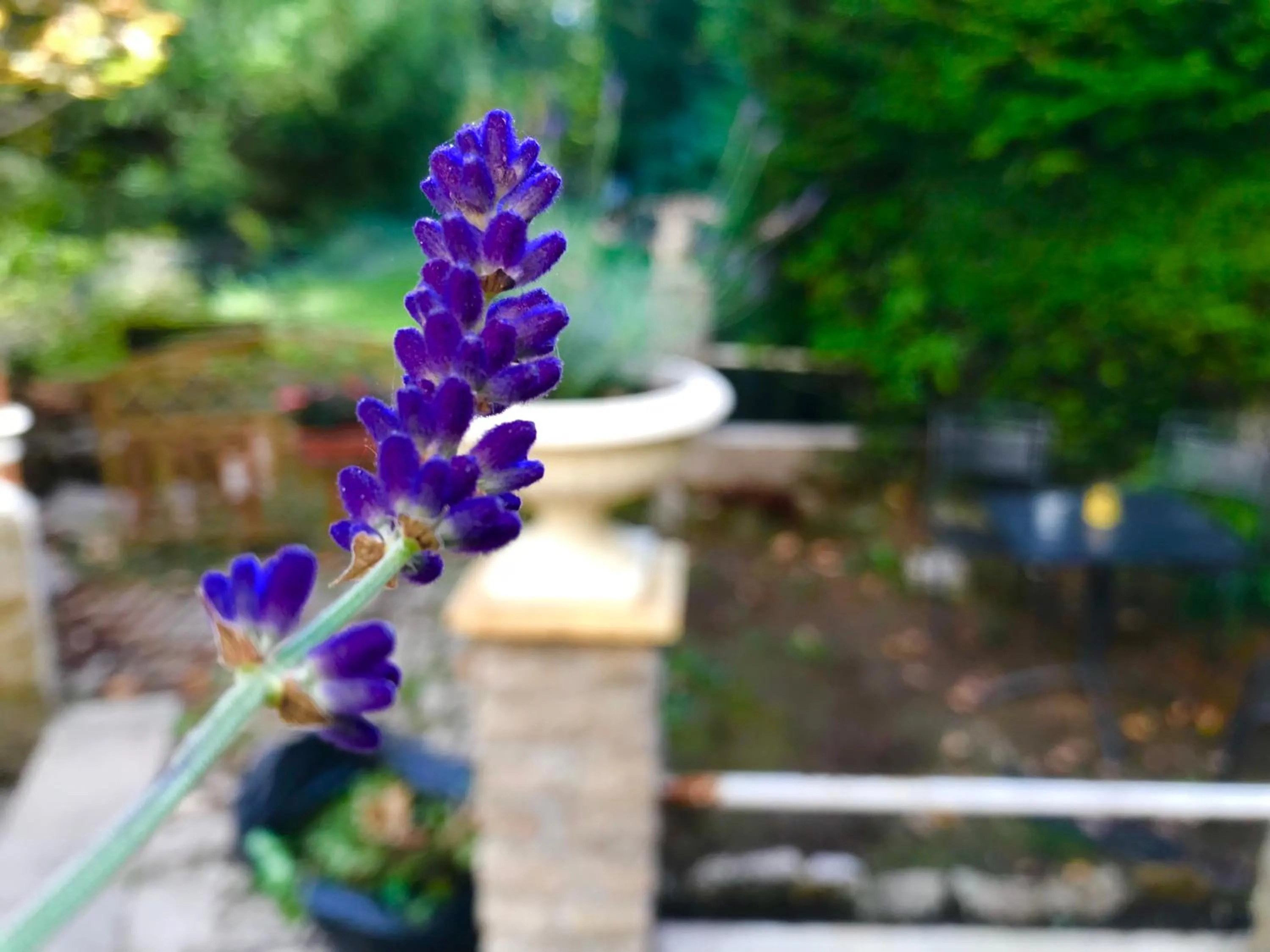 Property building in Domaine Du Moulin Vallée Heureuse