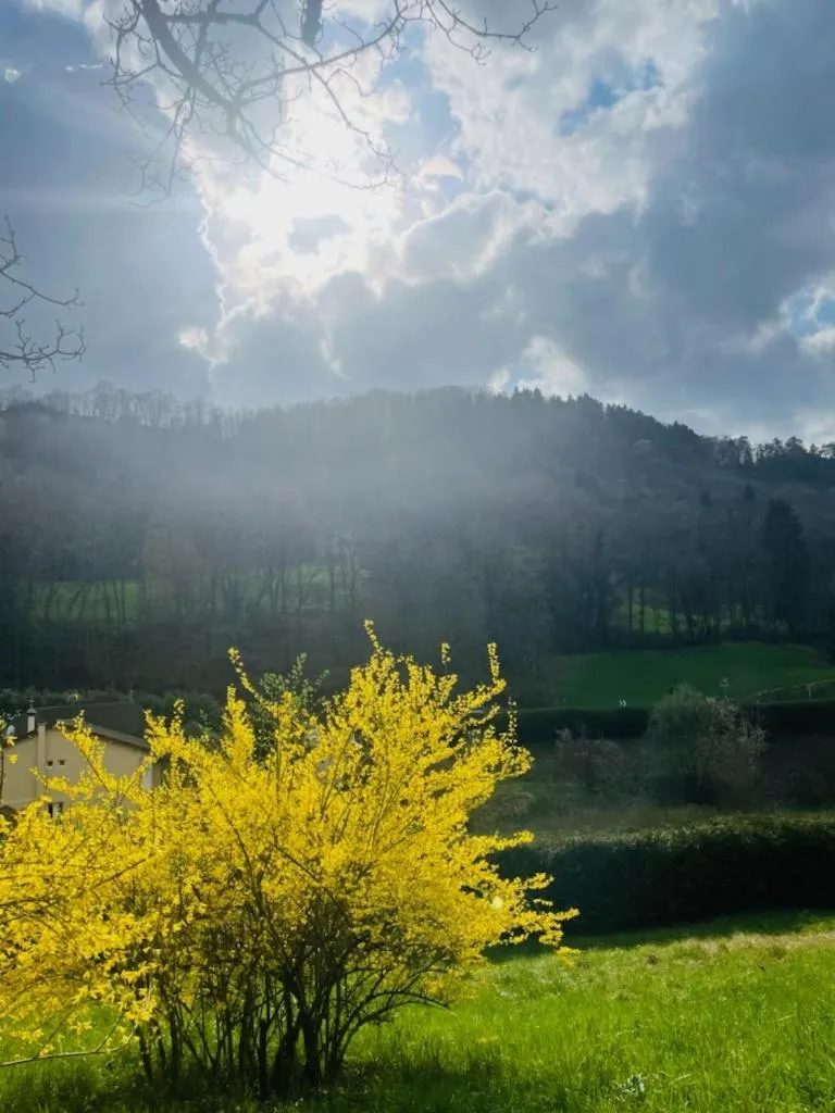 Domaine Du Moulin Vallée Heureuse