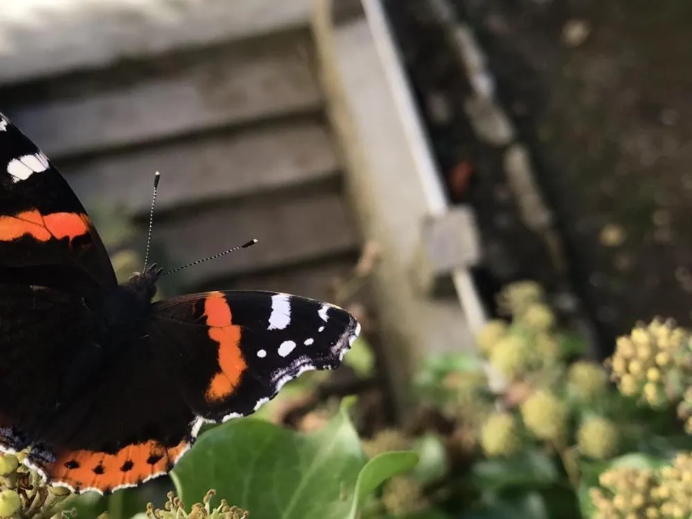 View (from property/room) in Domaine Du Moulin Vallée Heureuse