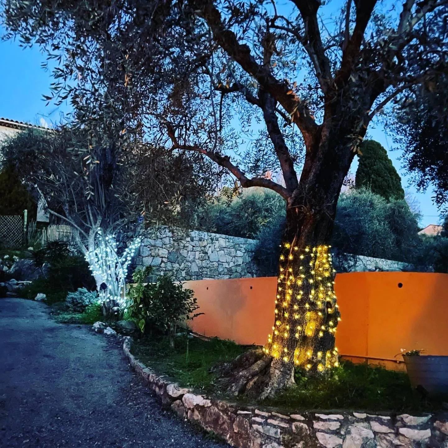 Garden view in Lou Candelou