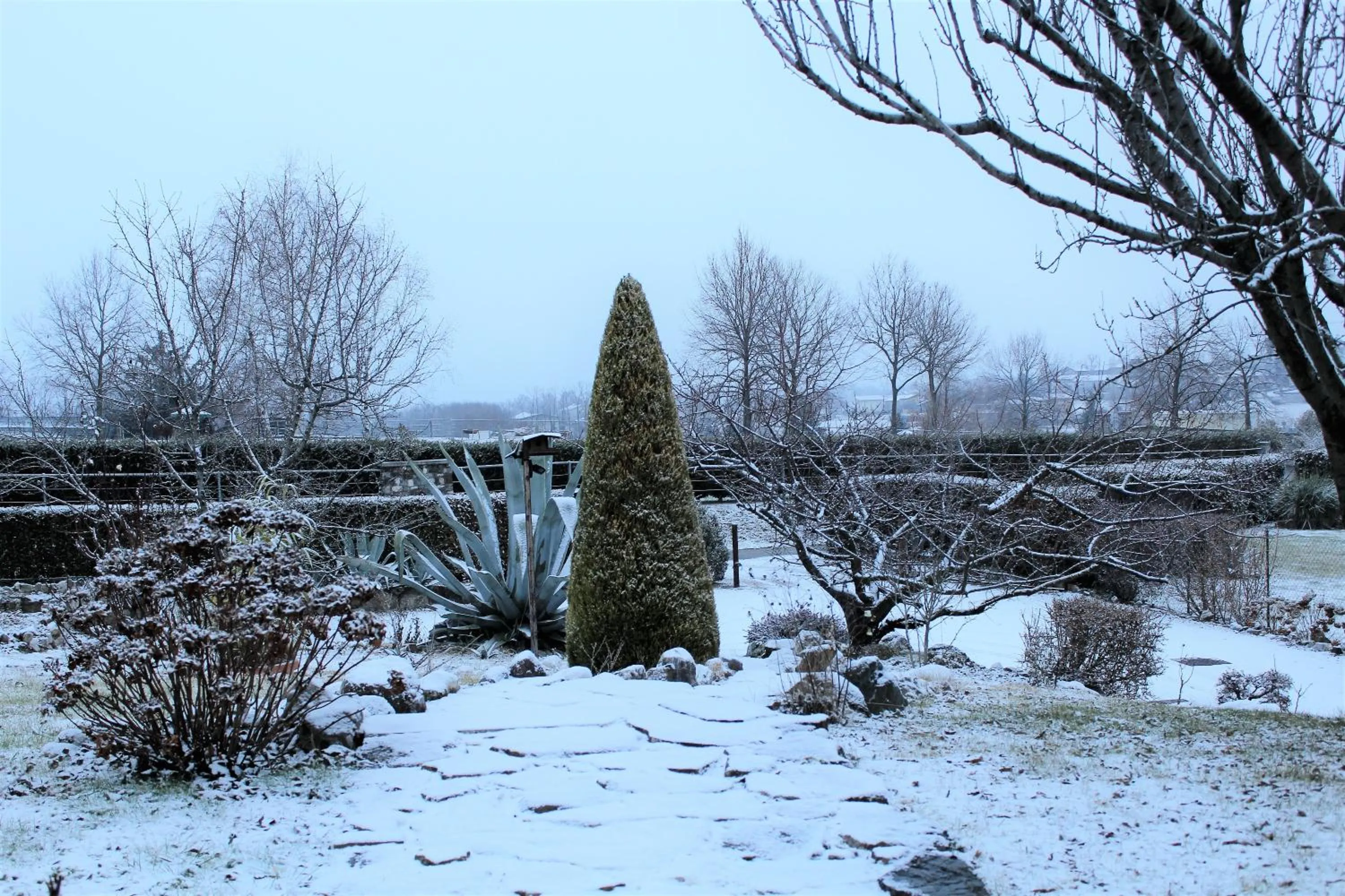 Garden in A Cjase di Sandra