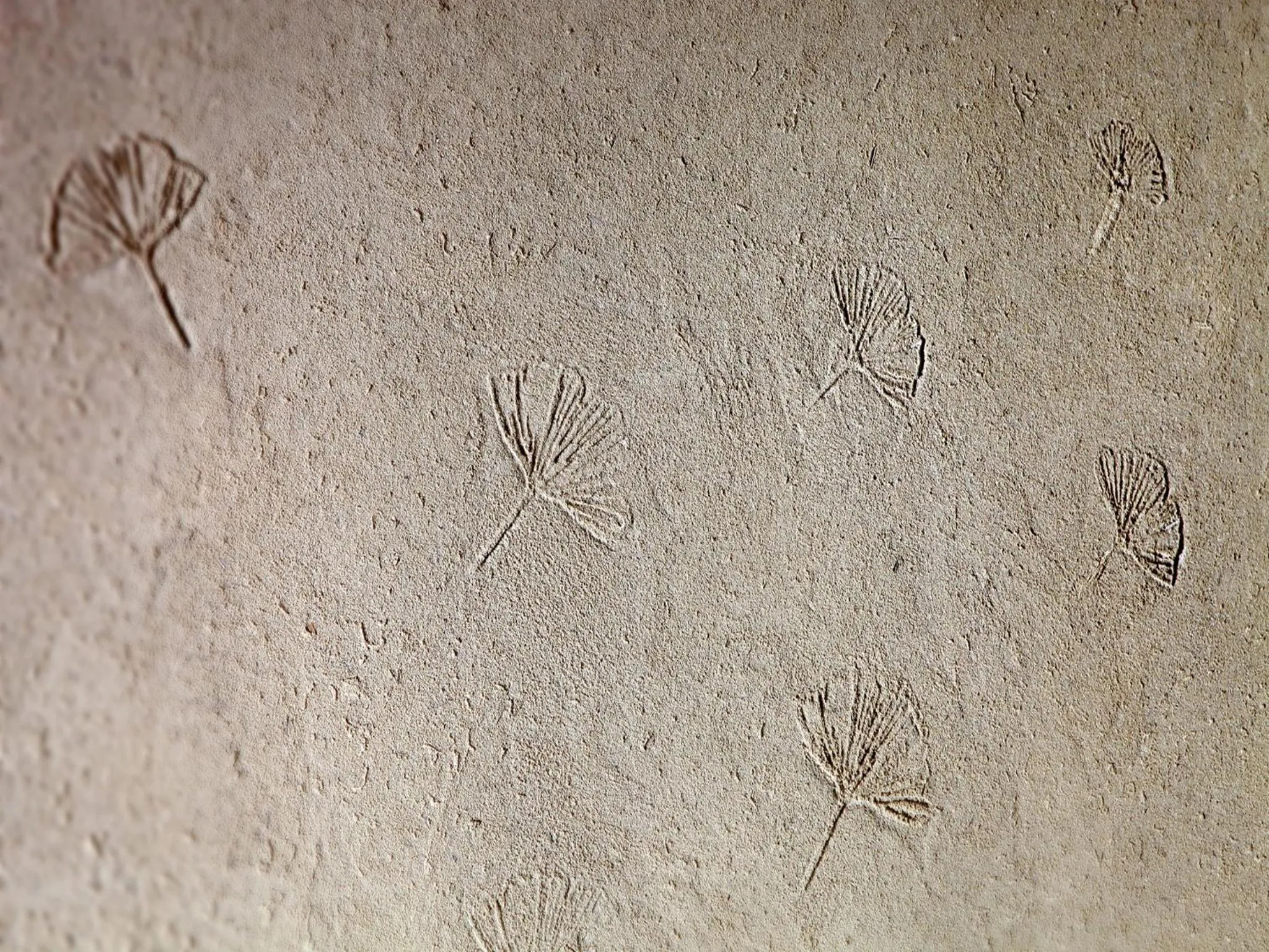 Decorative detail in EBO Hotel Zijin gang Asian Games Park Store Zhejiang university