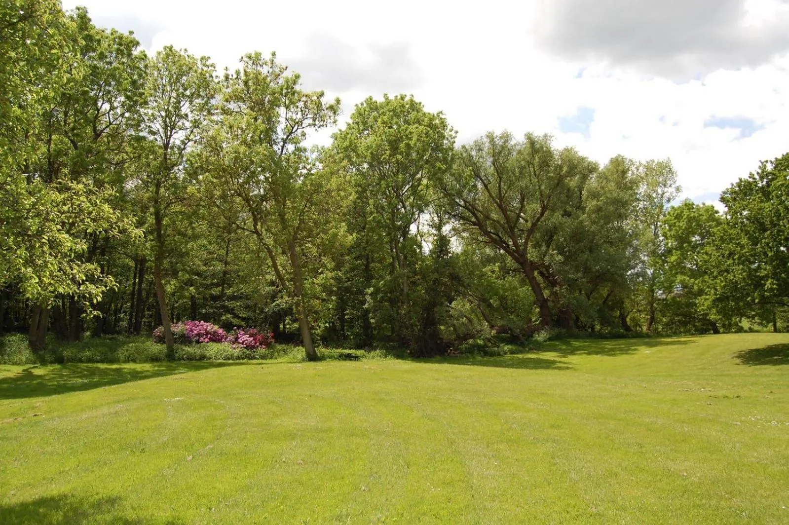 Natural landscape in Bymose Hegn Hotel & Kursuscenter