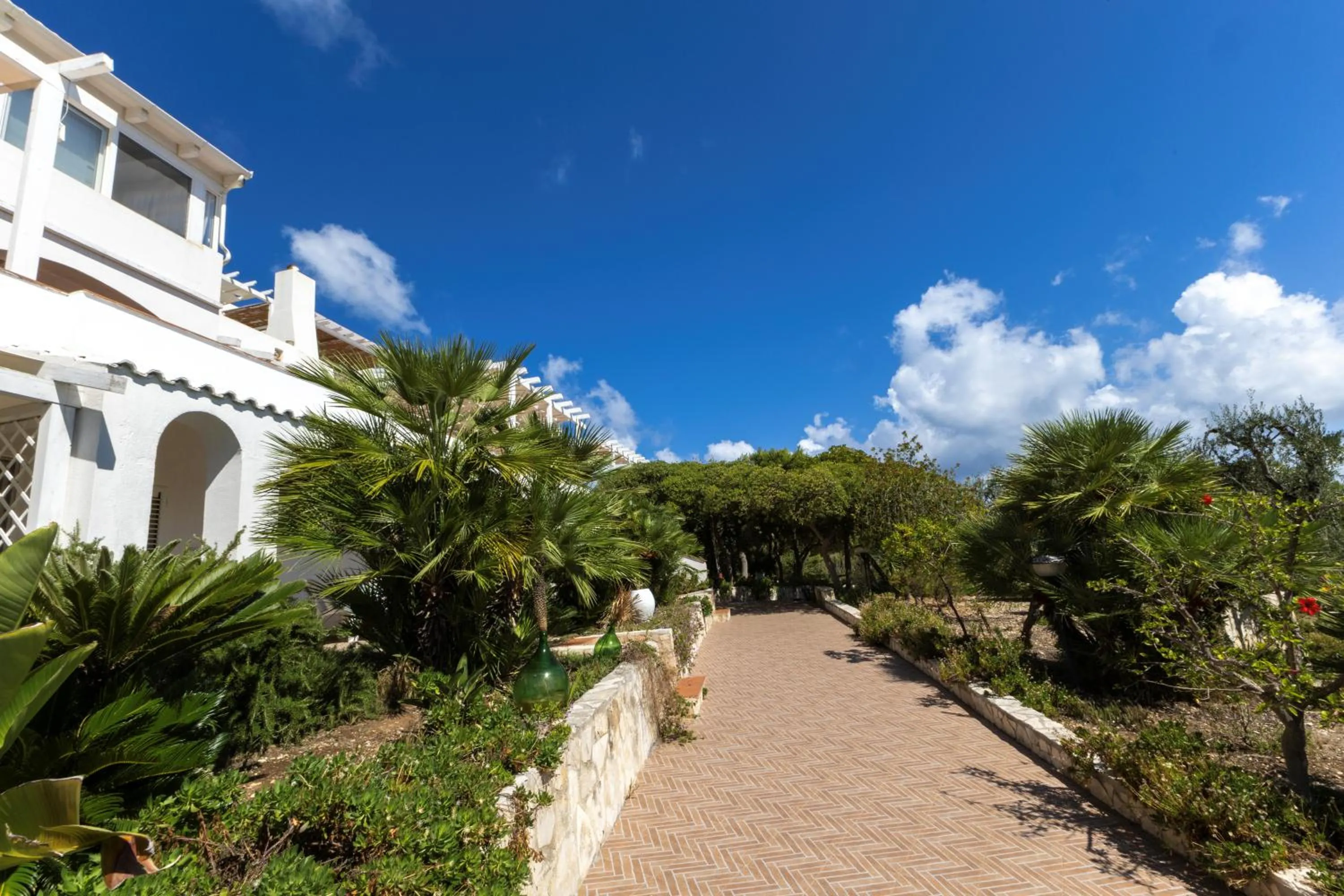 Garden in Maison Marie