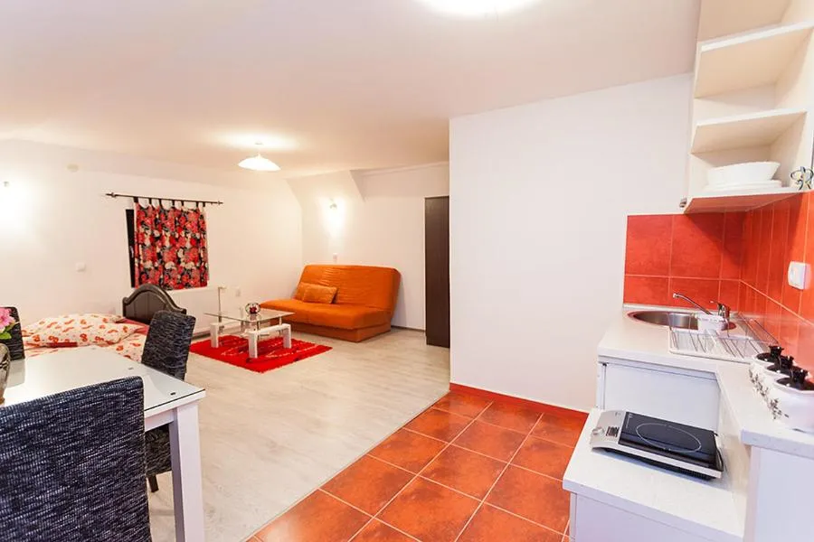 Apartments Milena Zlatibor - Dvorište & Parking