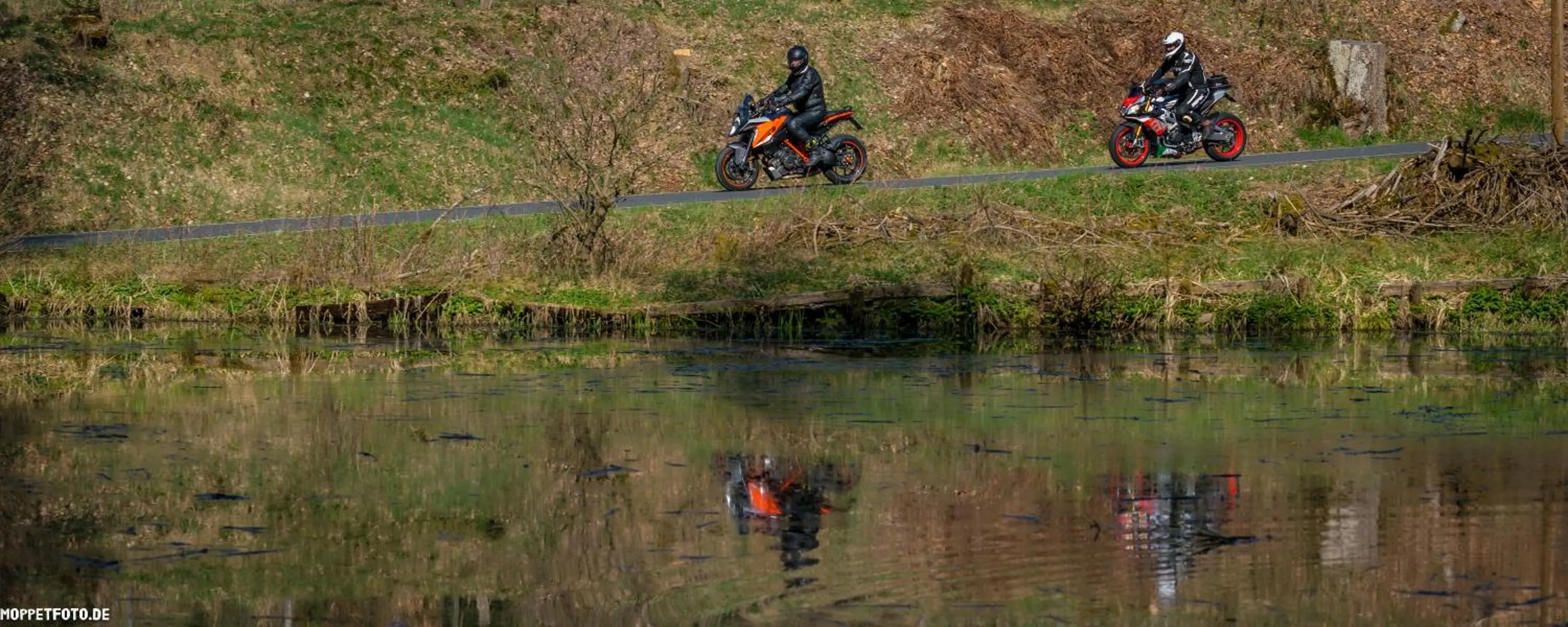 Natural landscape in Hotel Sassor
