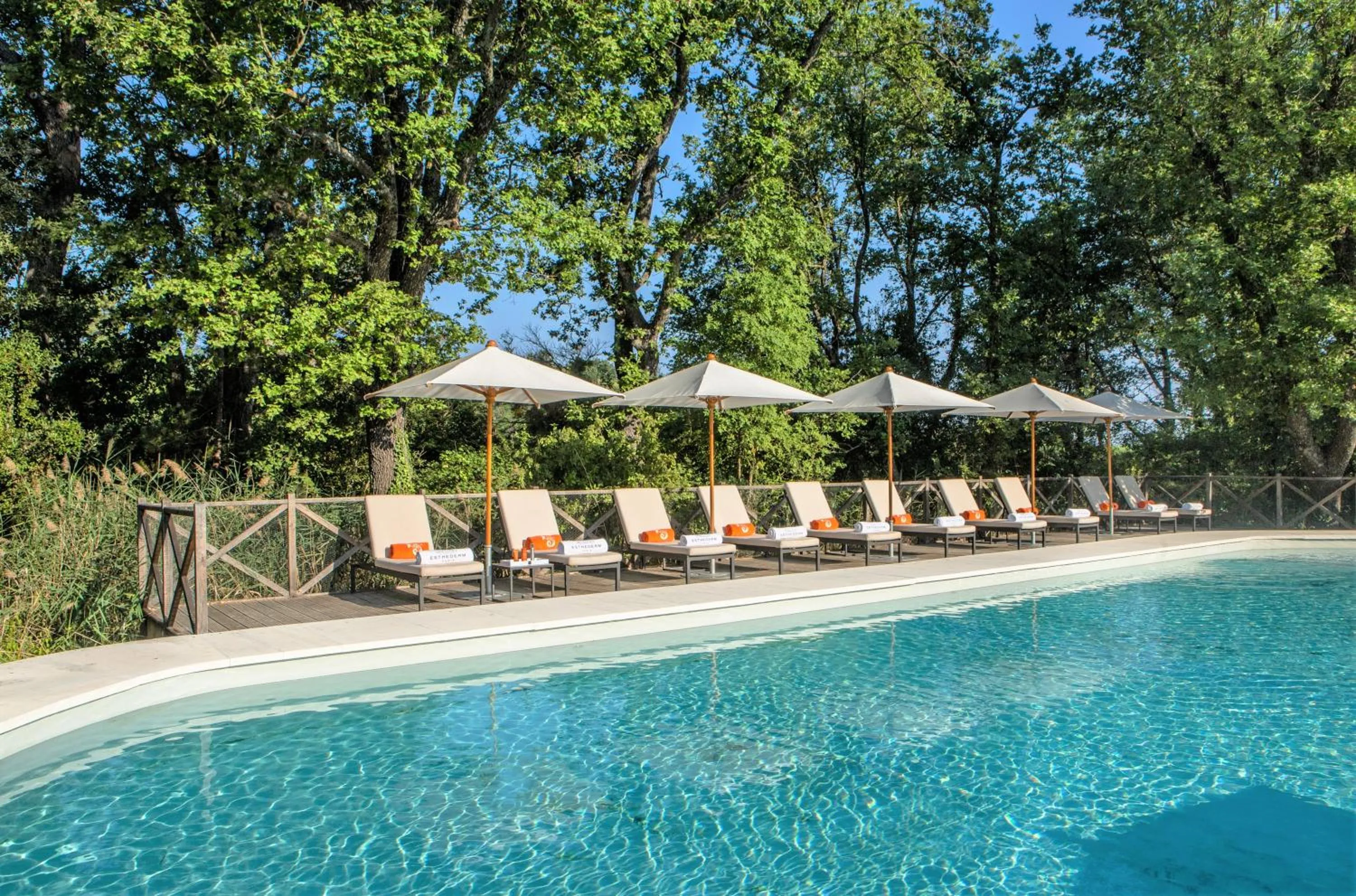 Swimming pool in Château de Fonscolombe