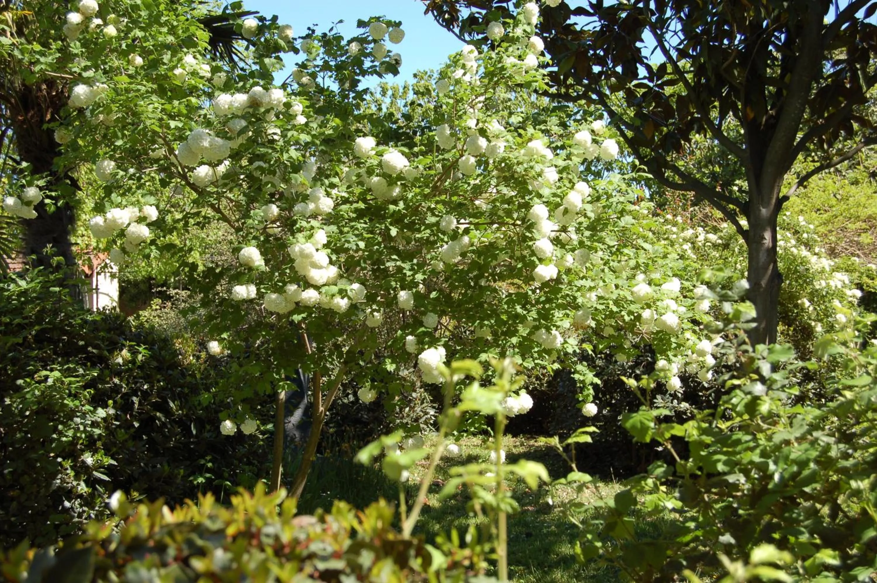 Day in Le Mas Ferrand