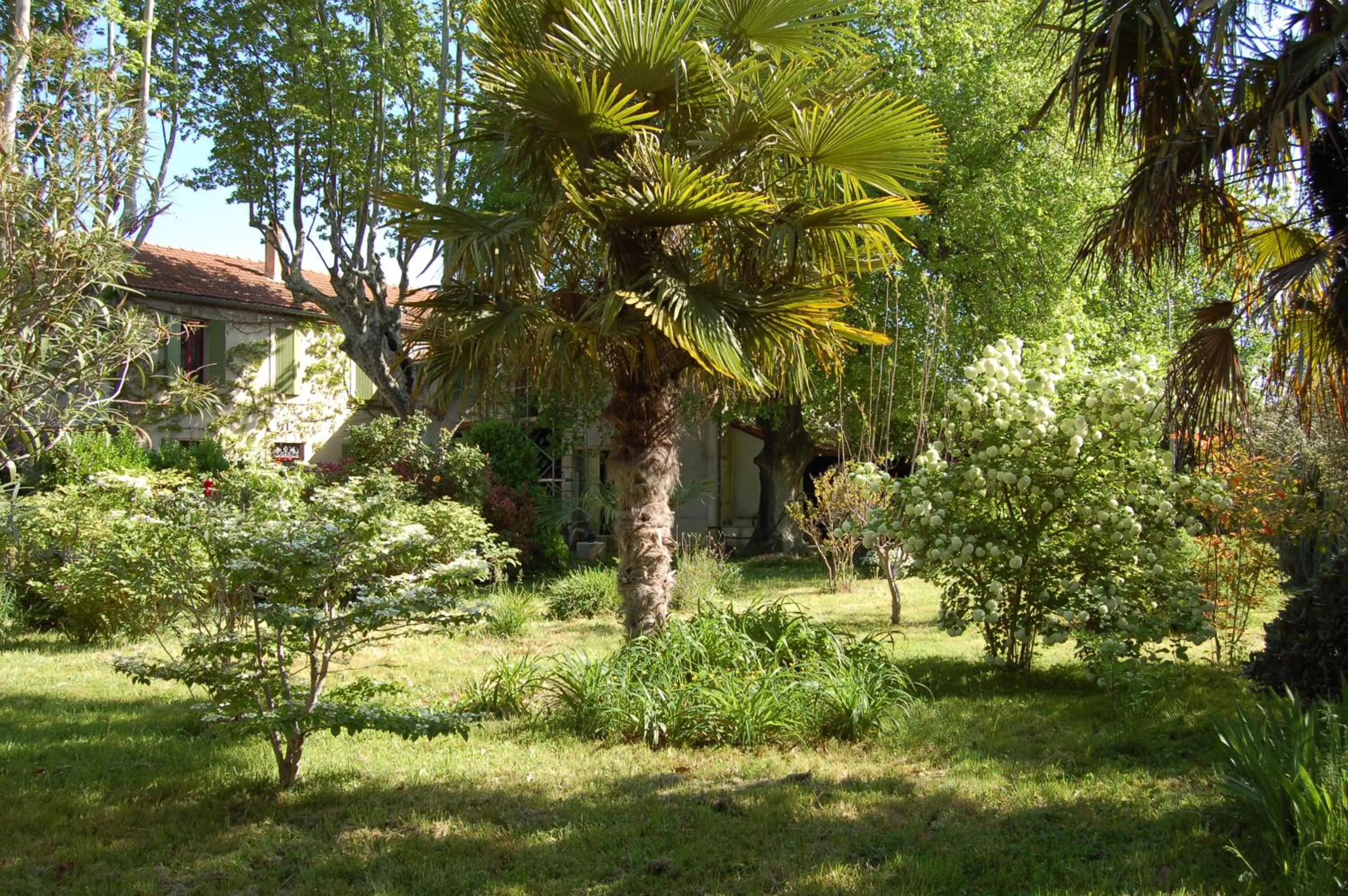 Garden in Le Mas Ferrand
