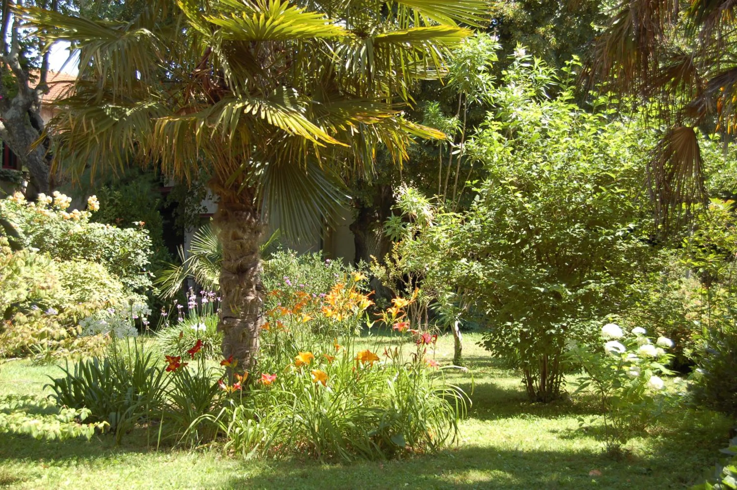 Garden in Le Mas Ferrand