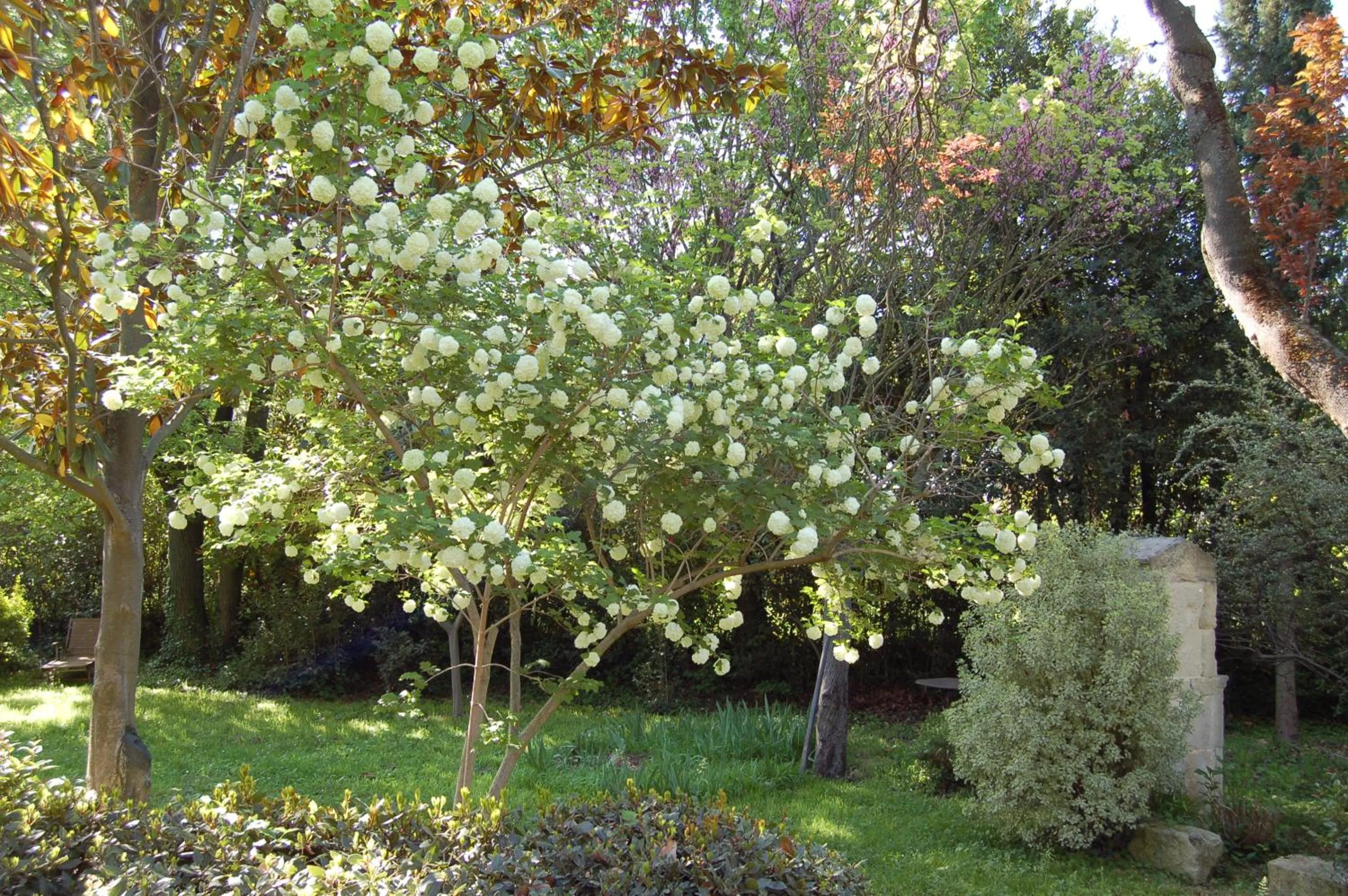 Garden in Le Mas Ferrand