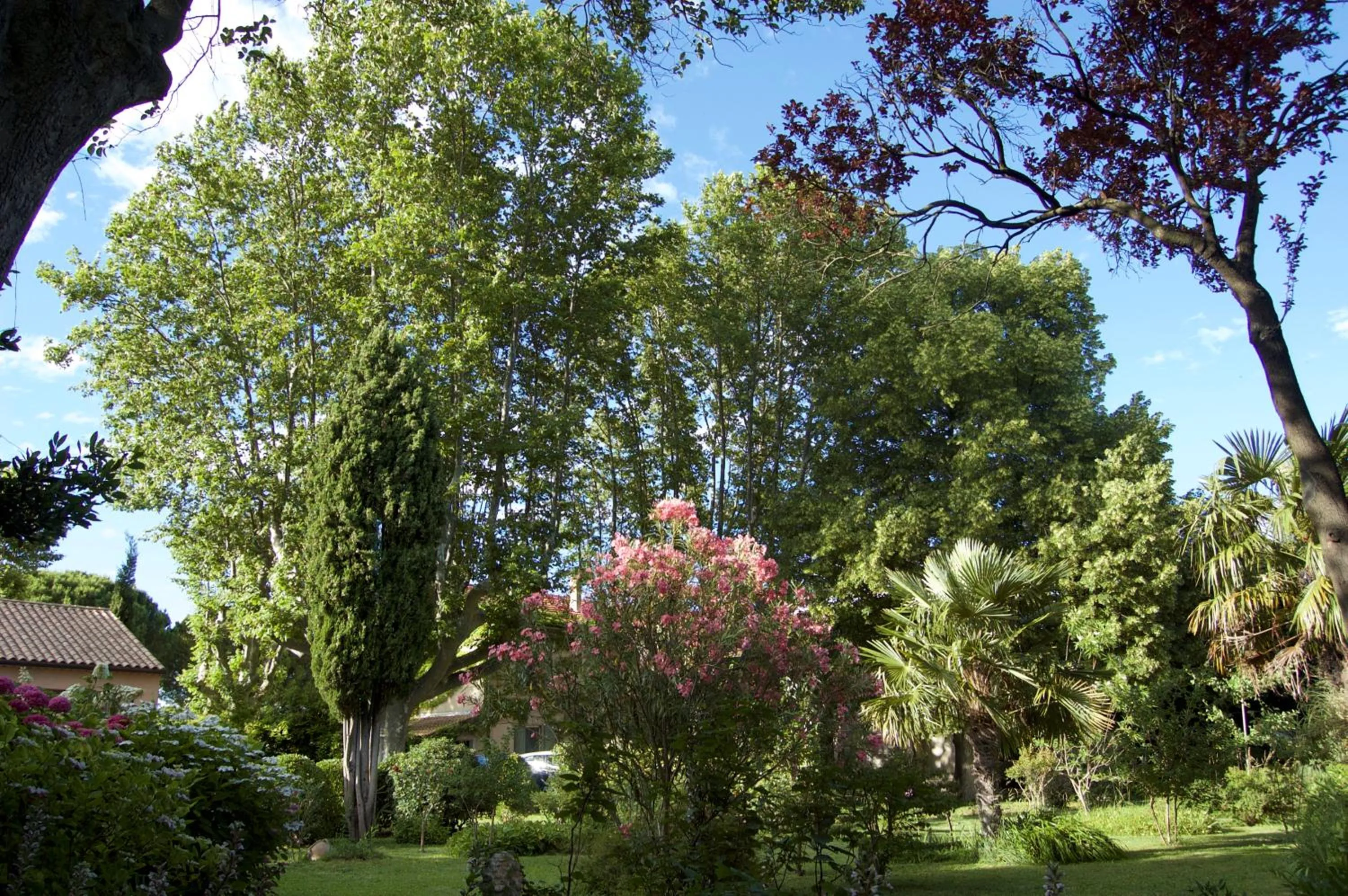 Day in Le Mas Ferrand