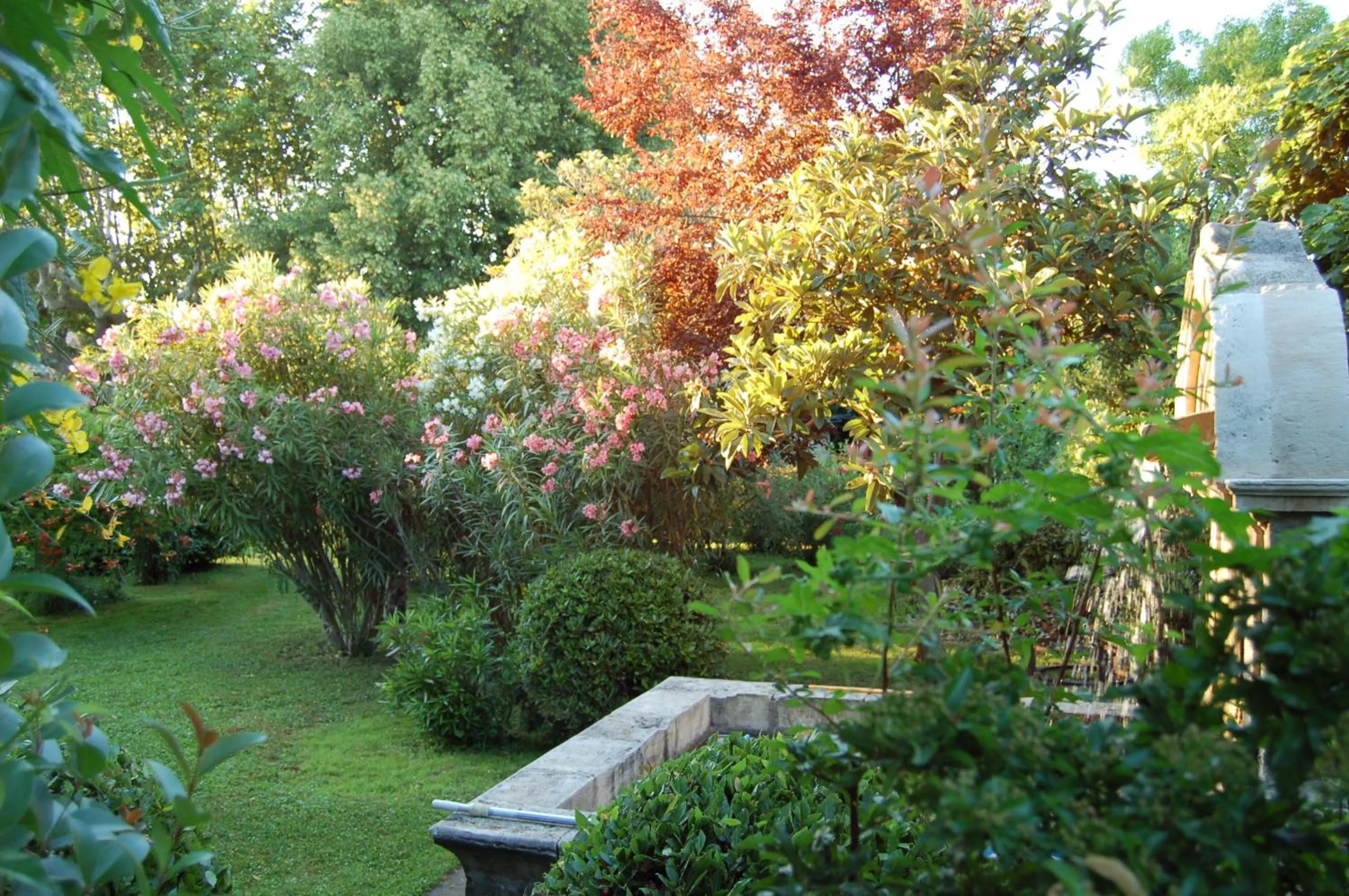 Garden view in Le Mas Ferrand