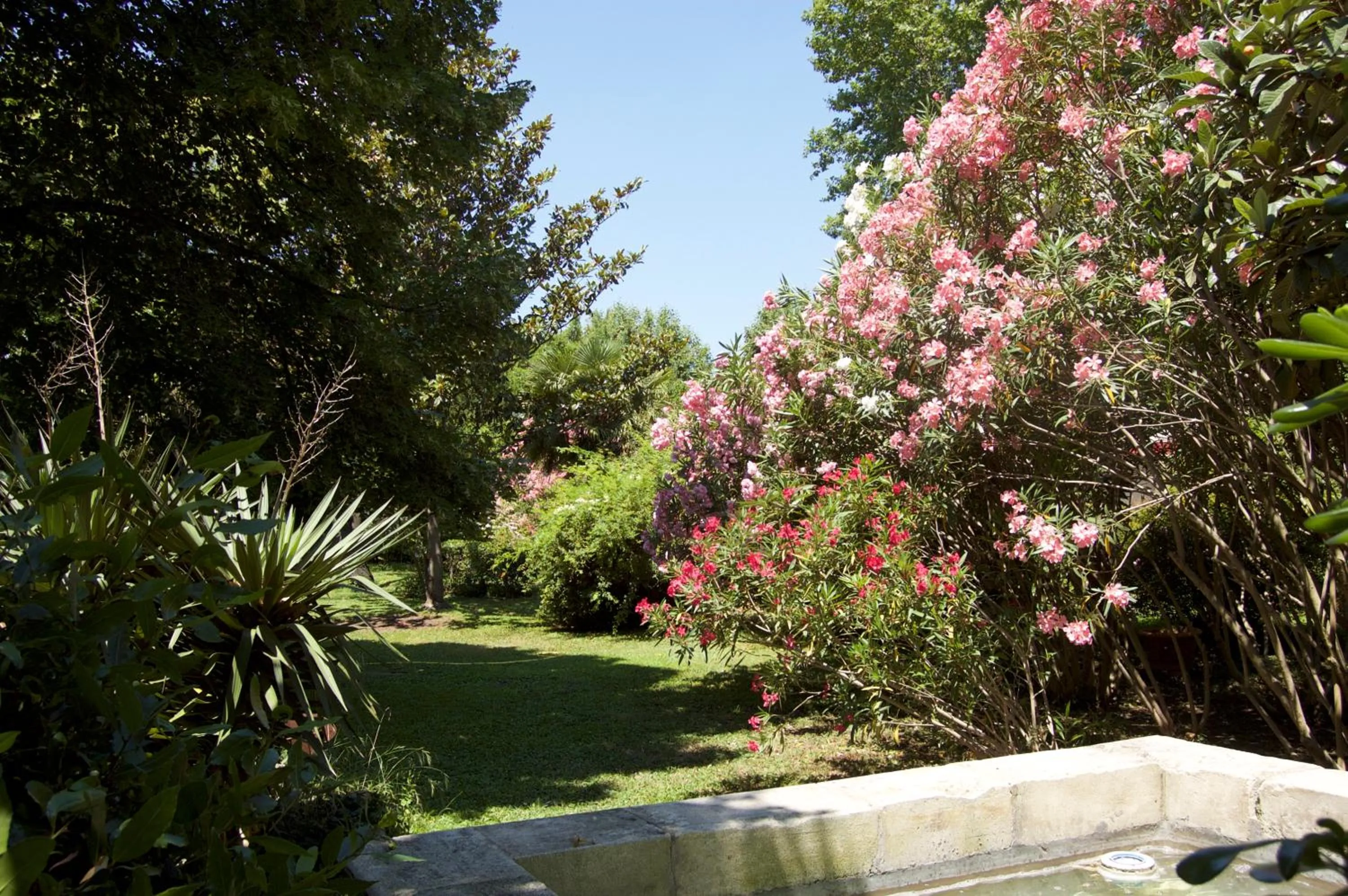 Day in Le Mas Ferrand