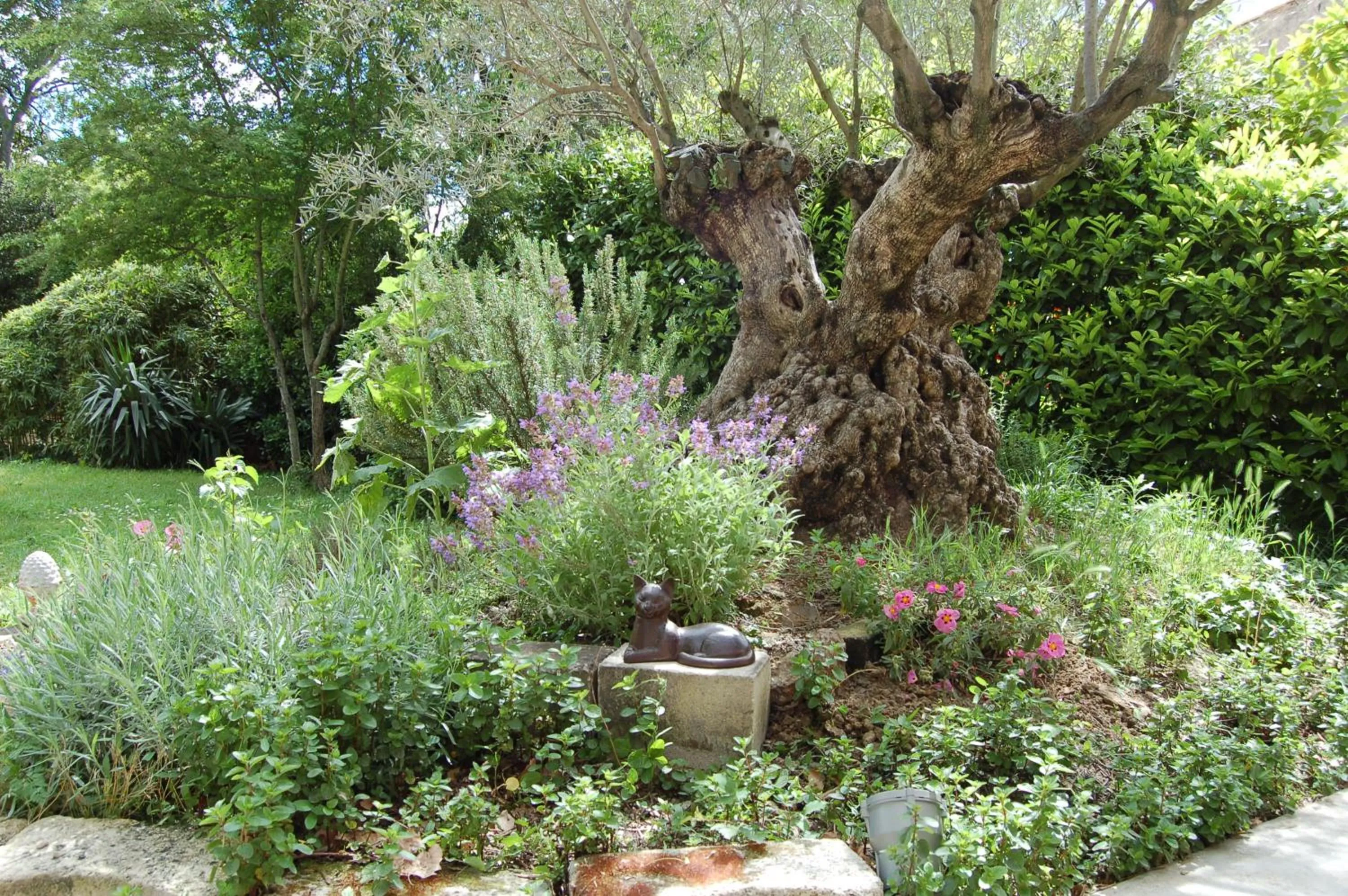 Garden in Le Mas Ferrand