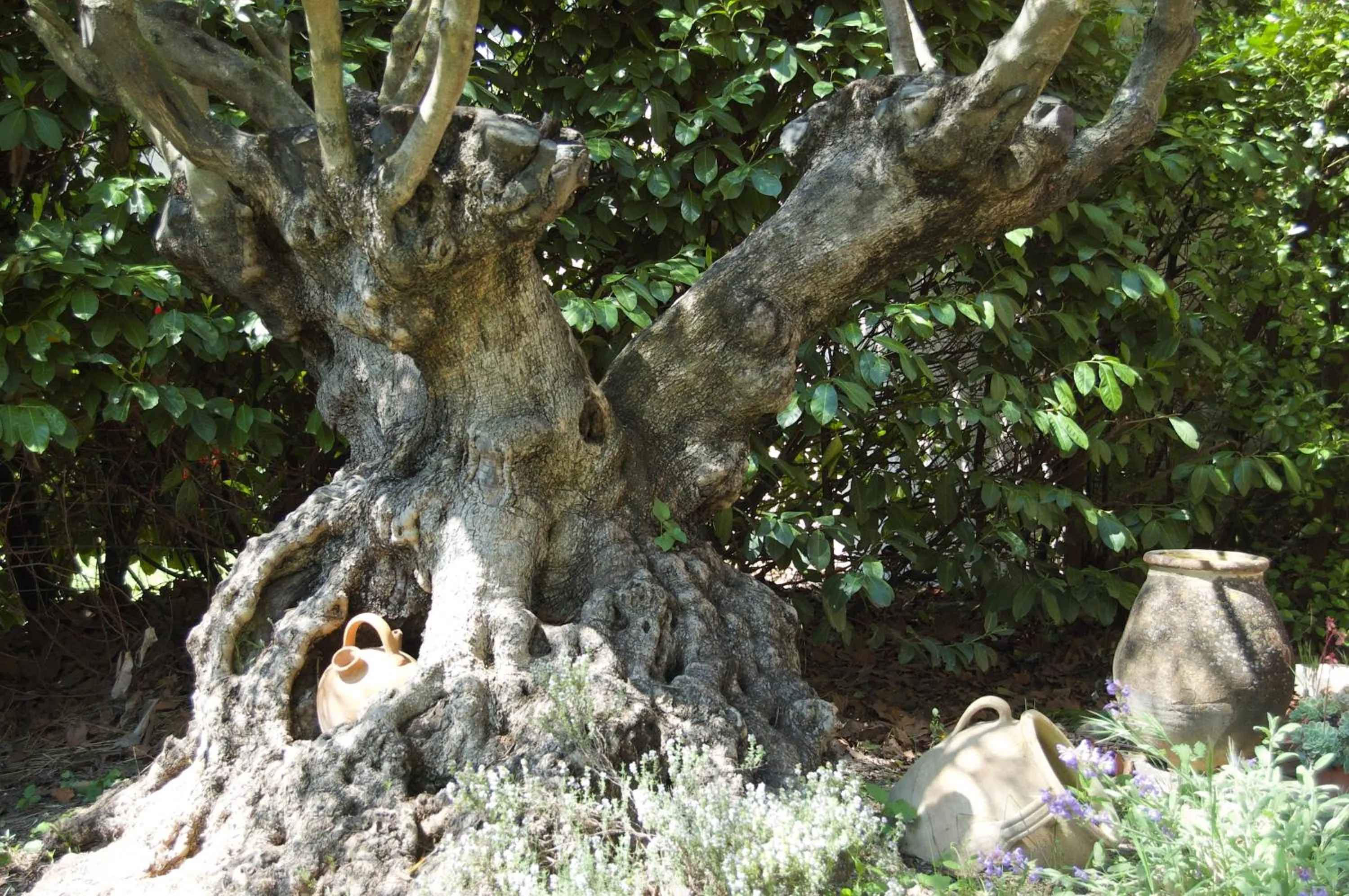 Garden view in Le Mas Ferrand