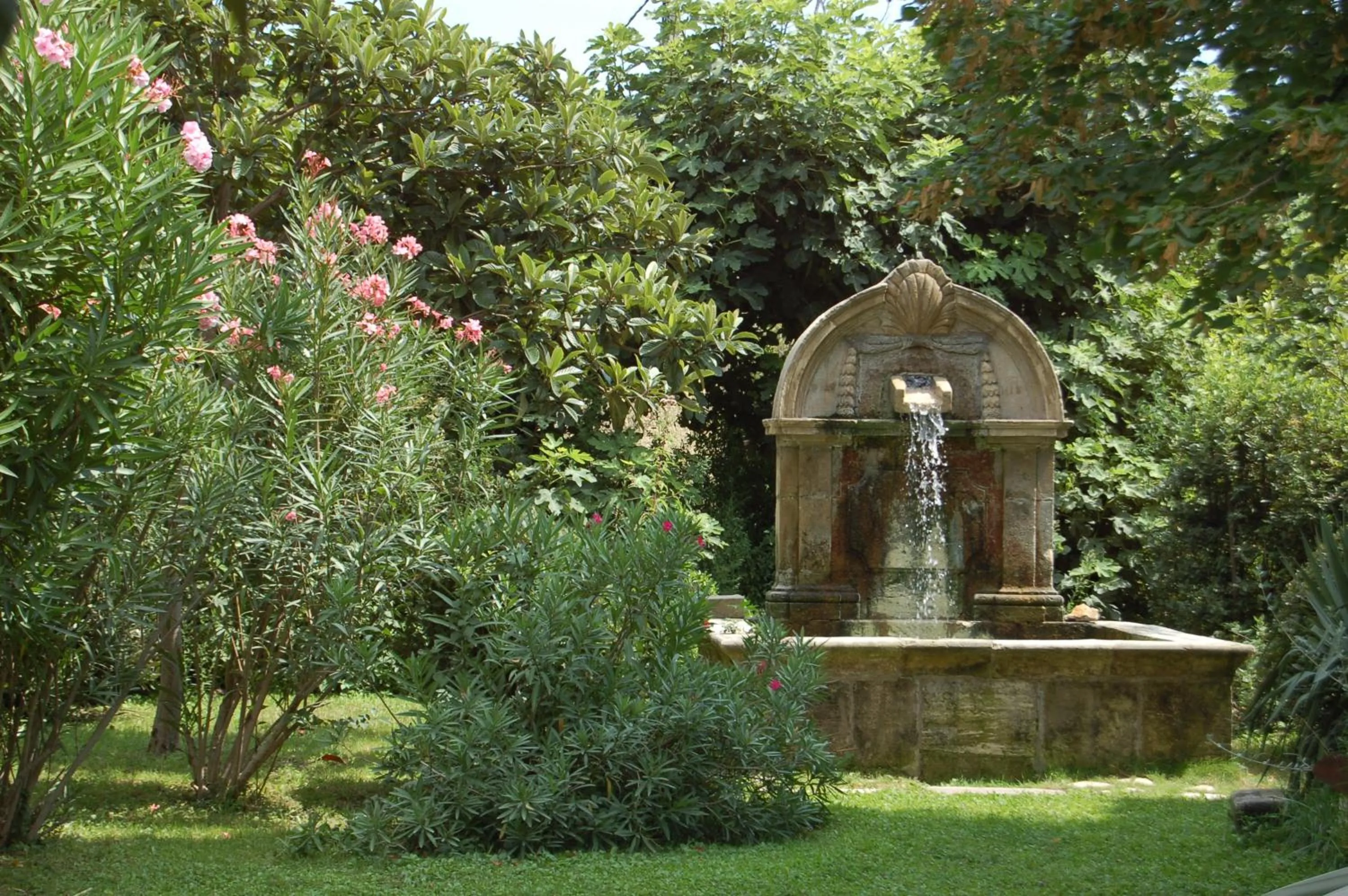Garden view in Le Mas Ferrand