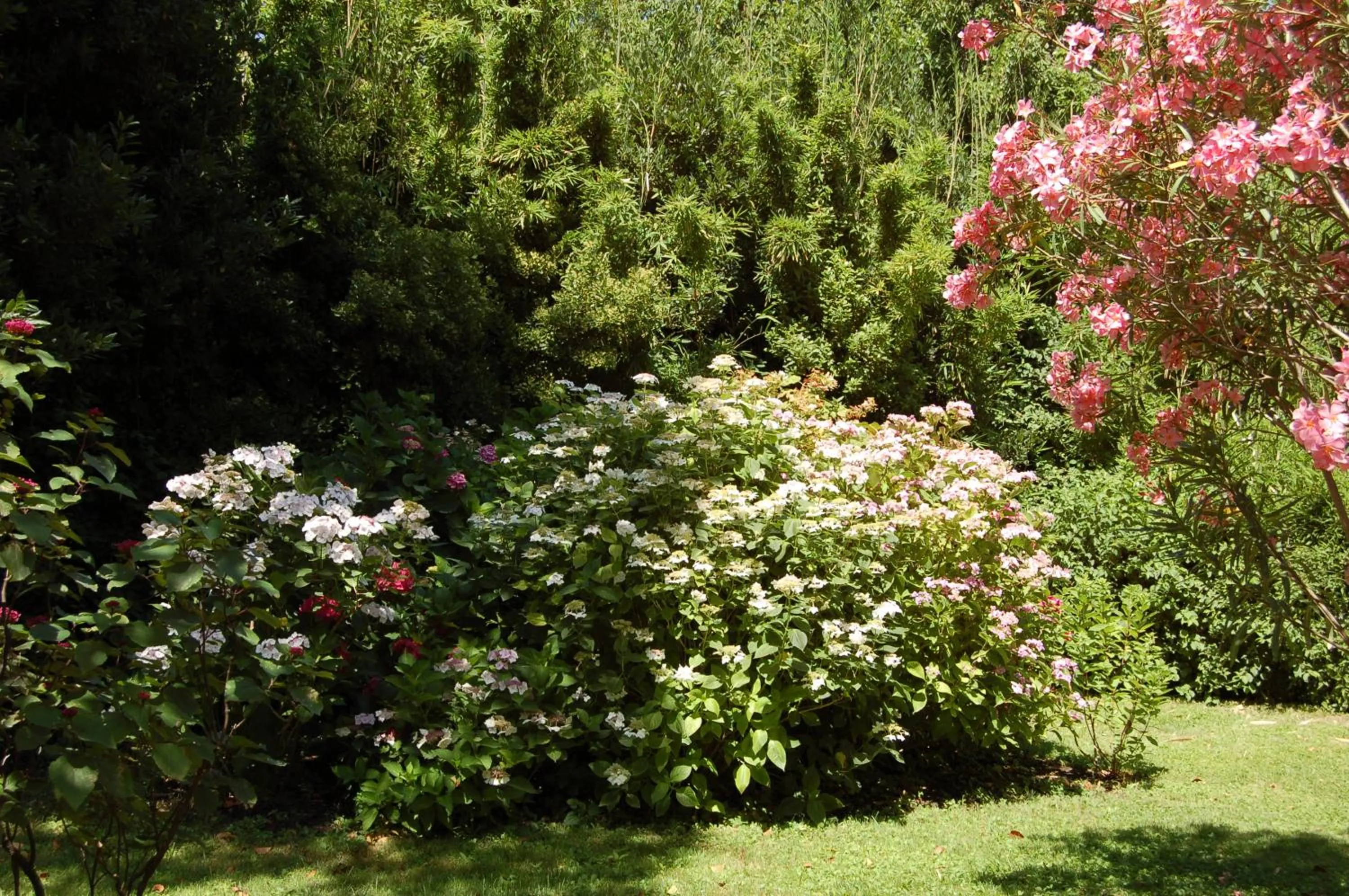 Garden in Le Mas Ferrand