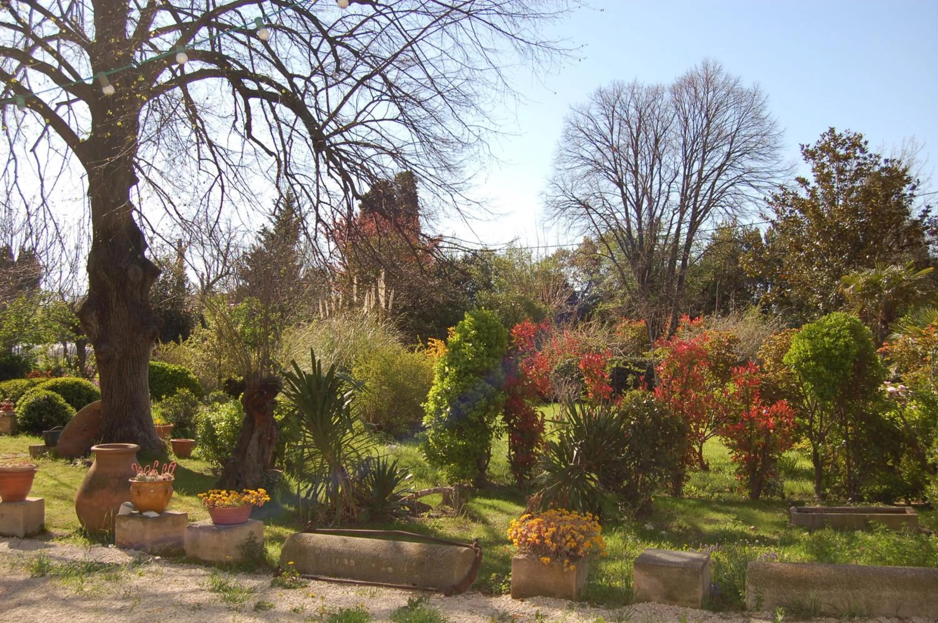 Garden in Le Mas Ferrand