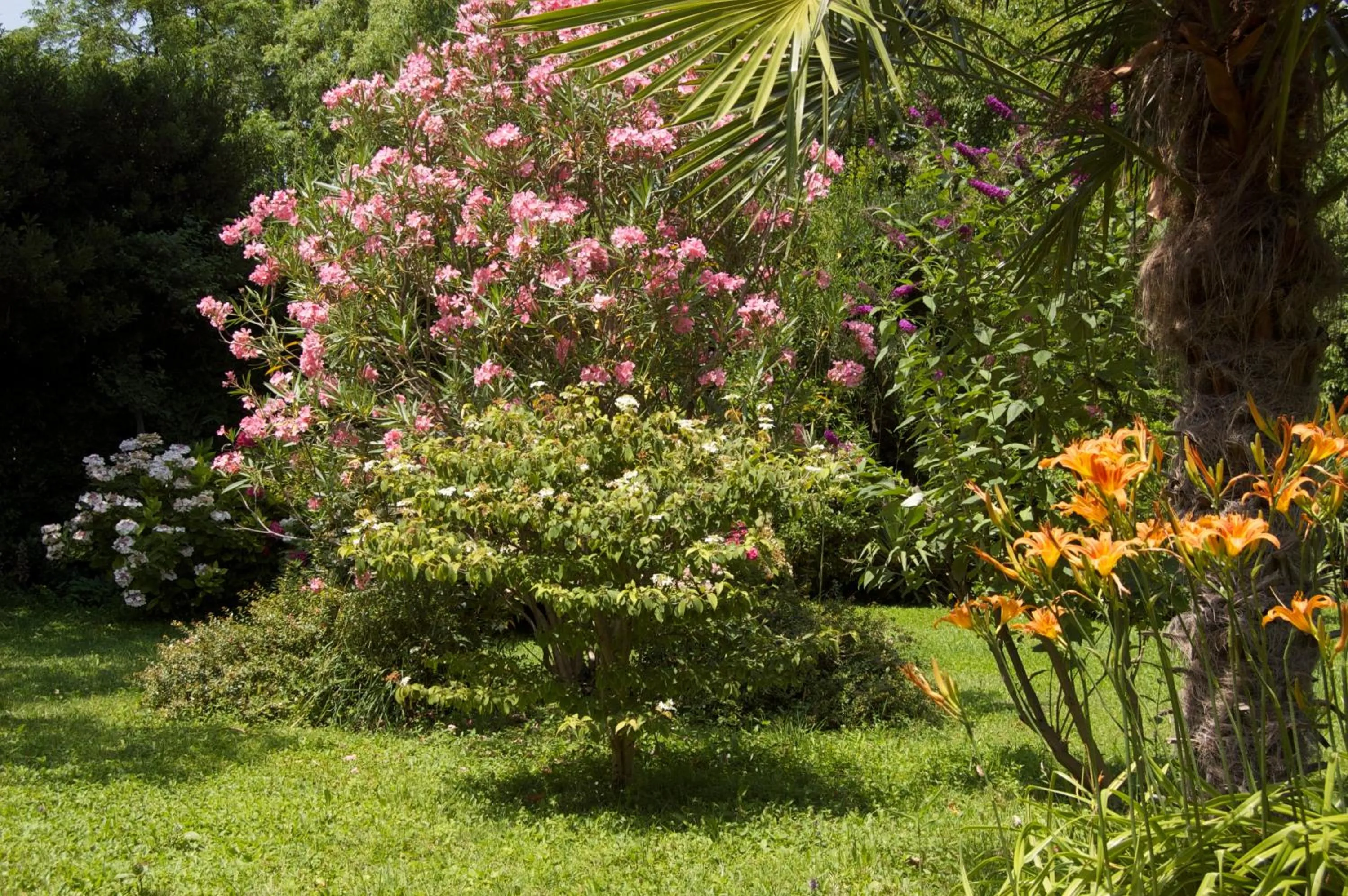 Day in Le Mas Ferrand