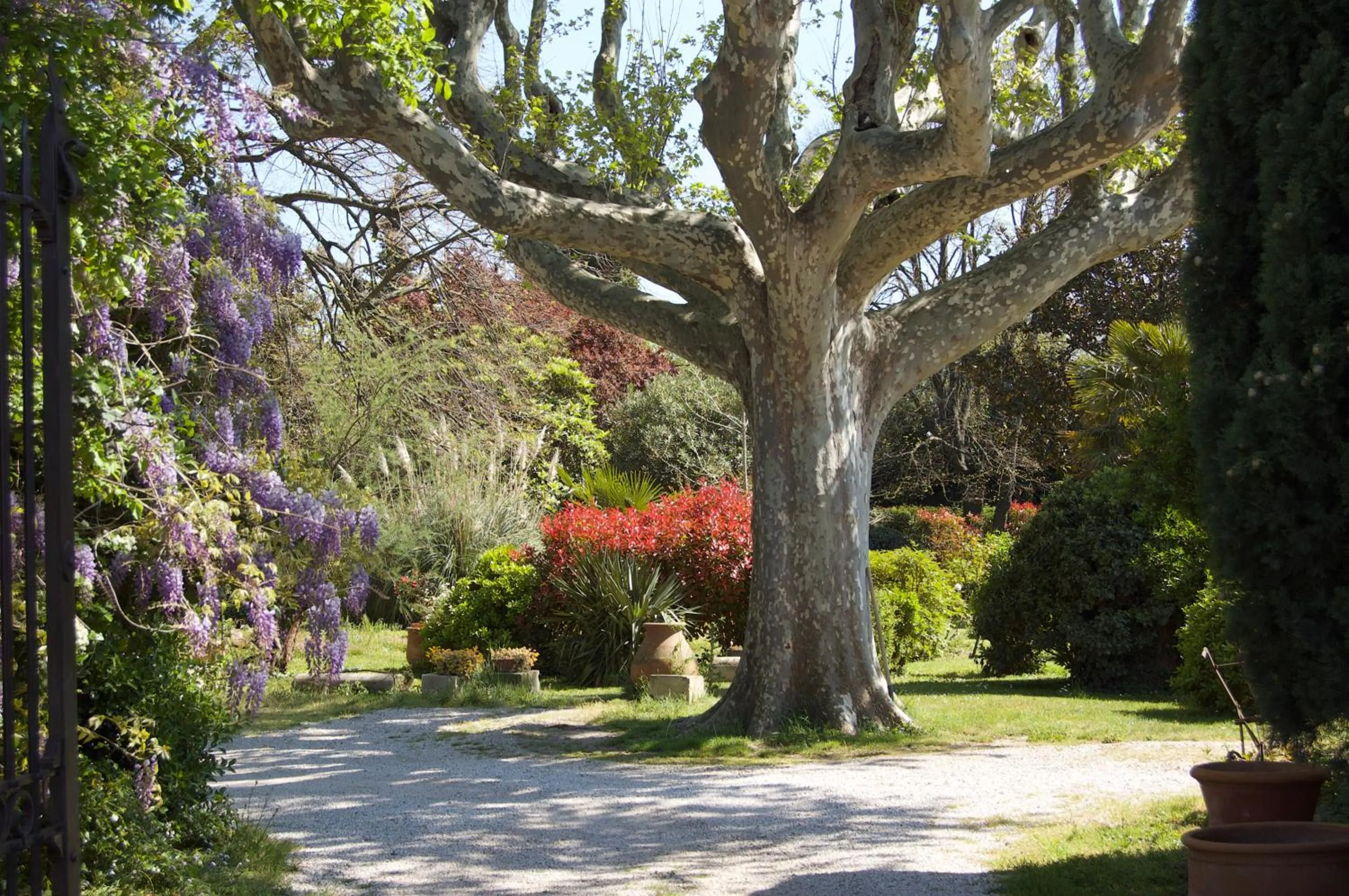 Garden view in Le Mas Ferrand