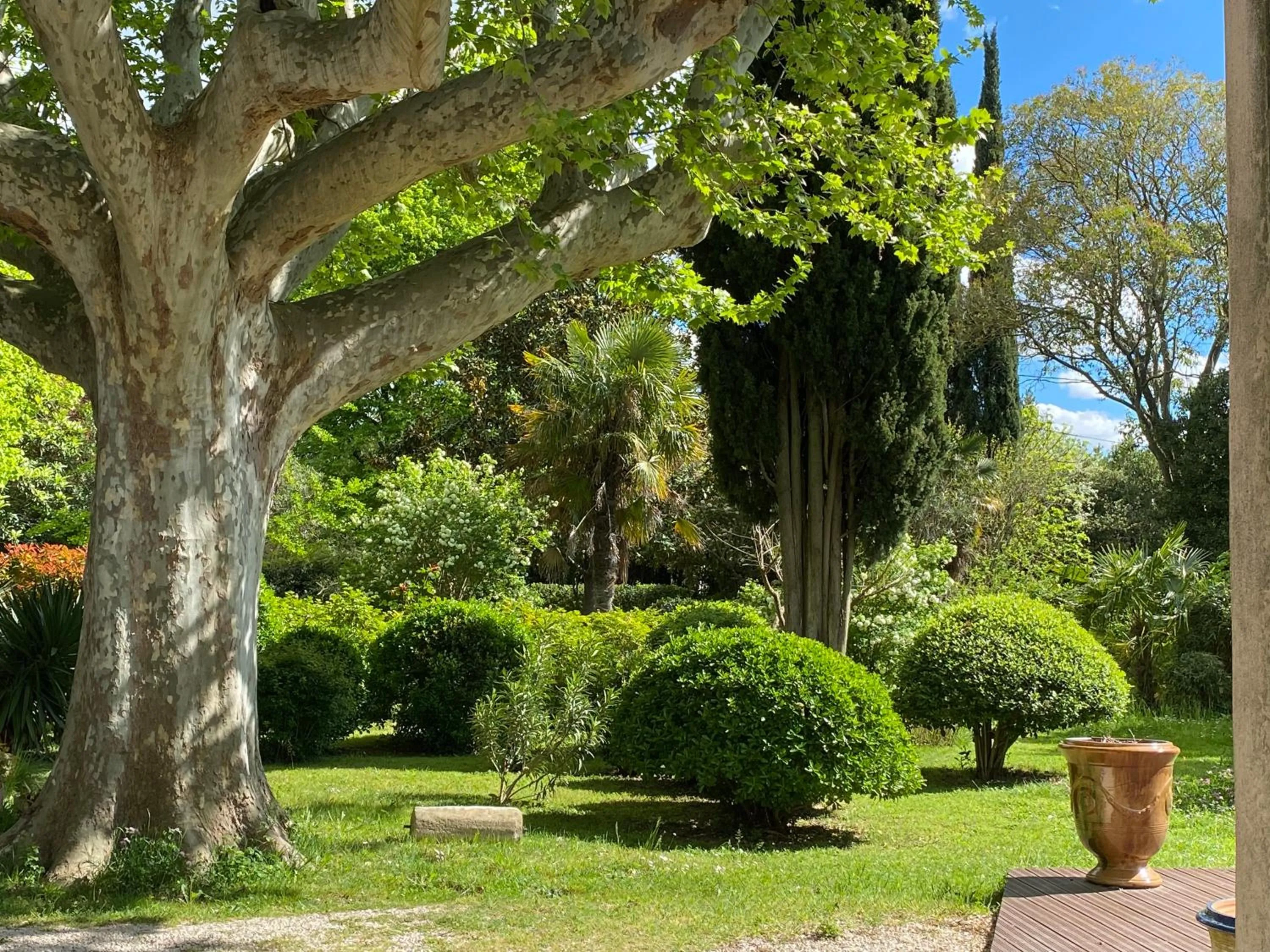 View (from property/room) in Le Mas Ferrand