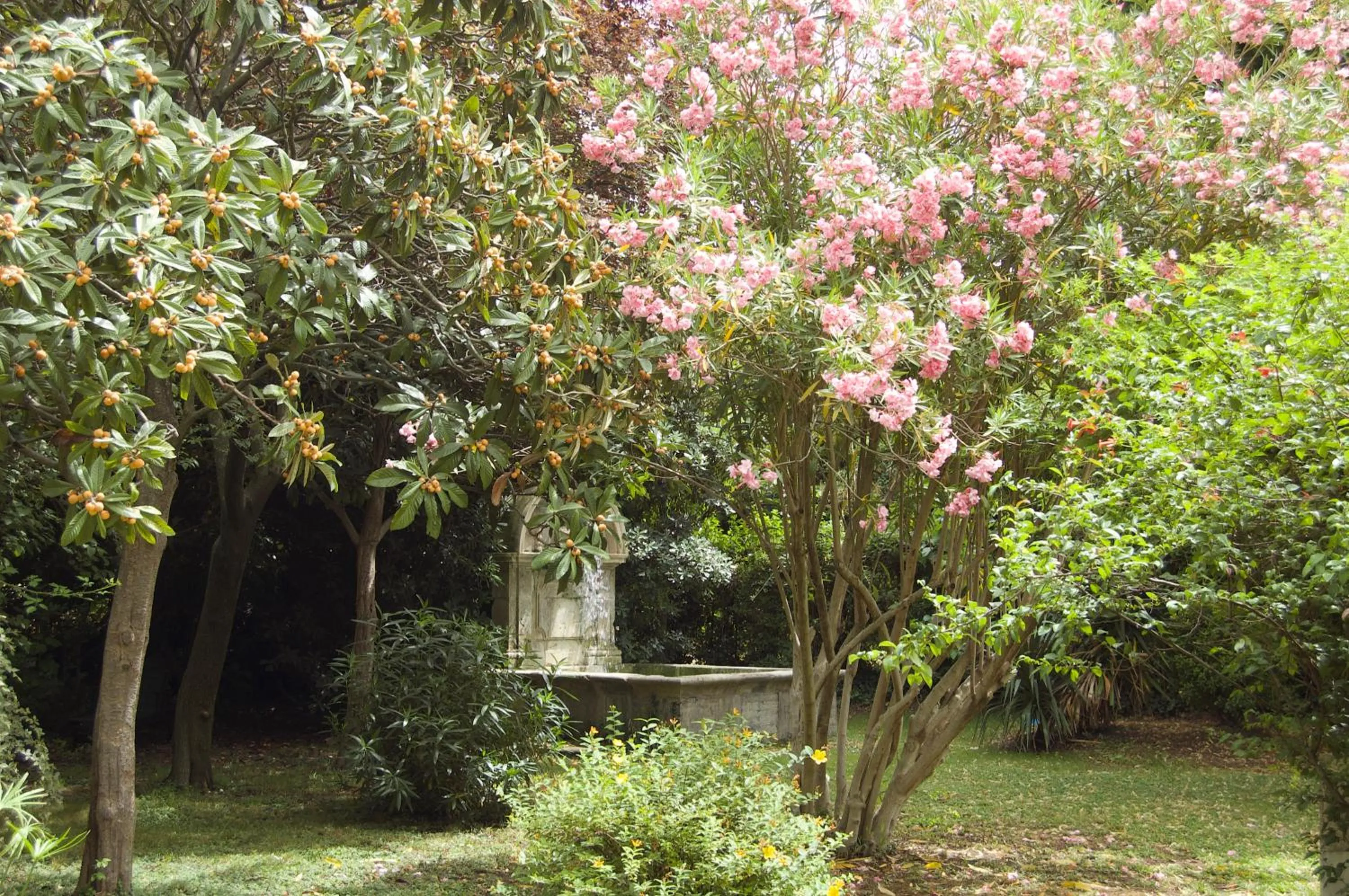 Garden in Le Mas Ferrand