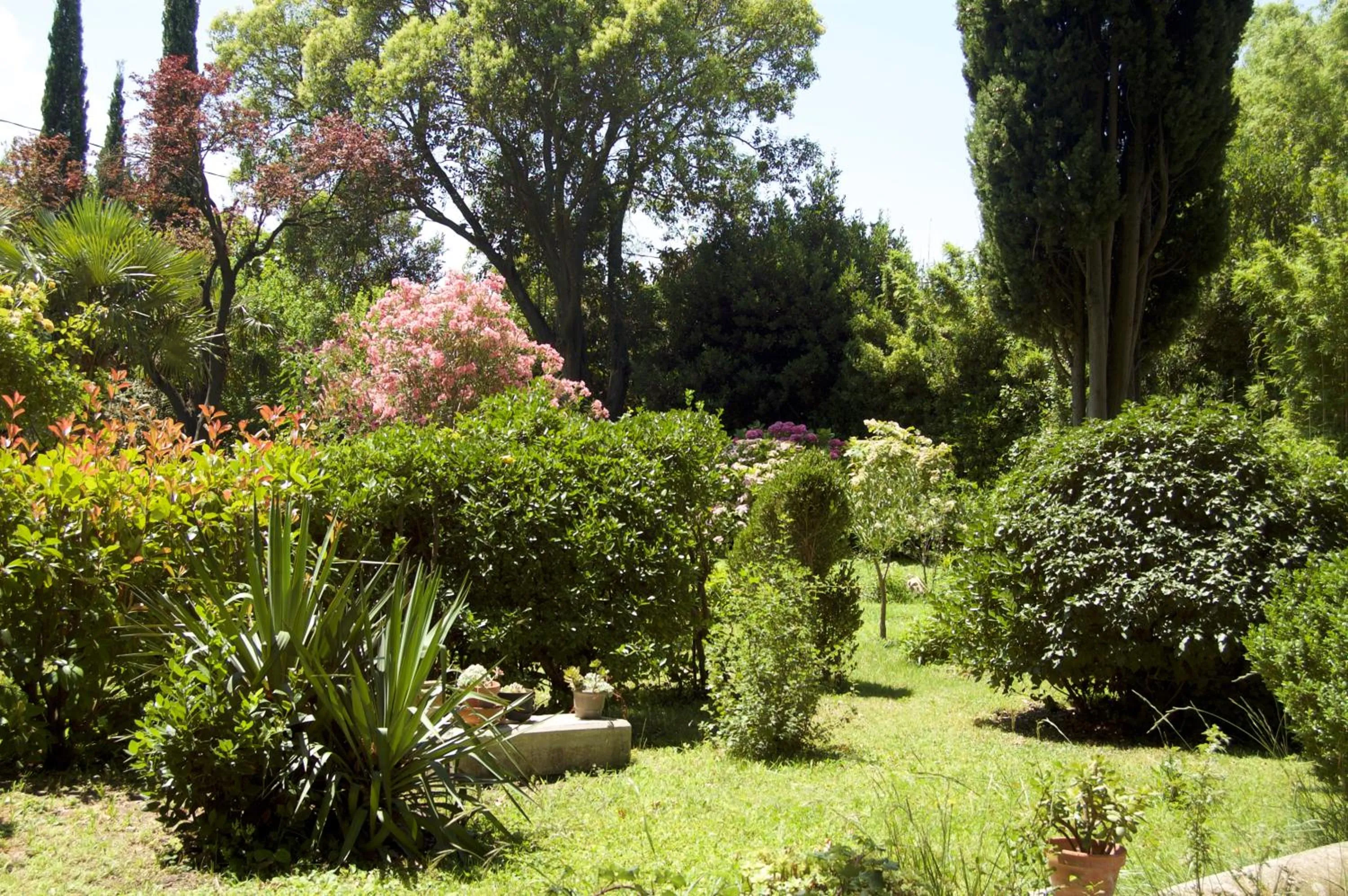 Day in Le Mas Ferrand