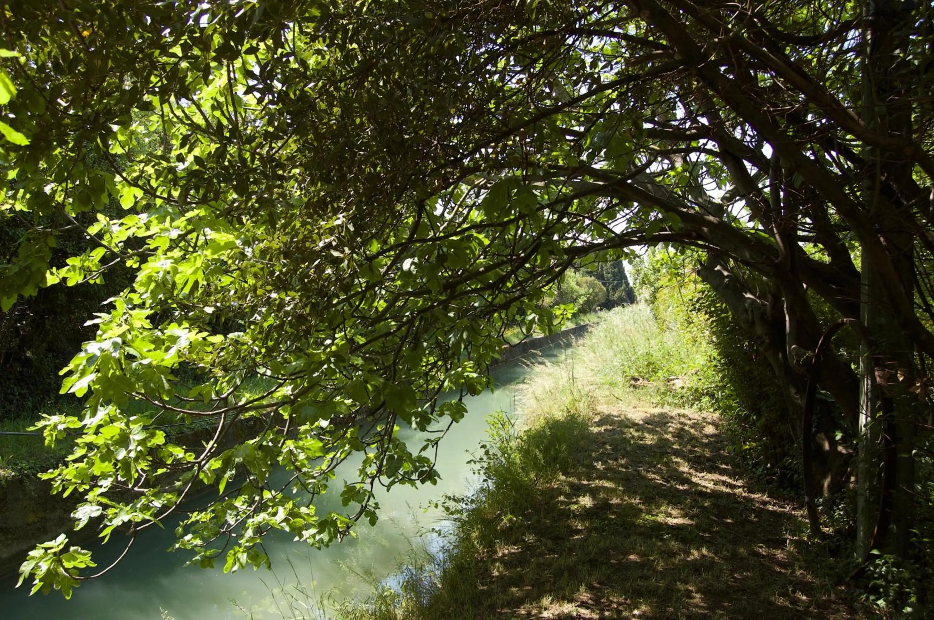 Garden in Le Mas Ferrand