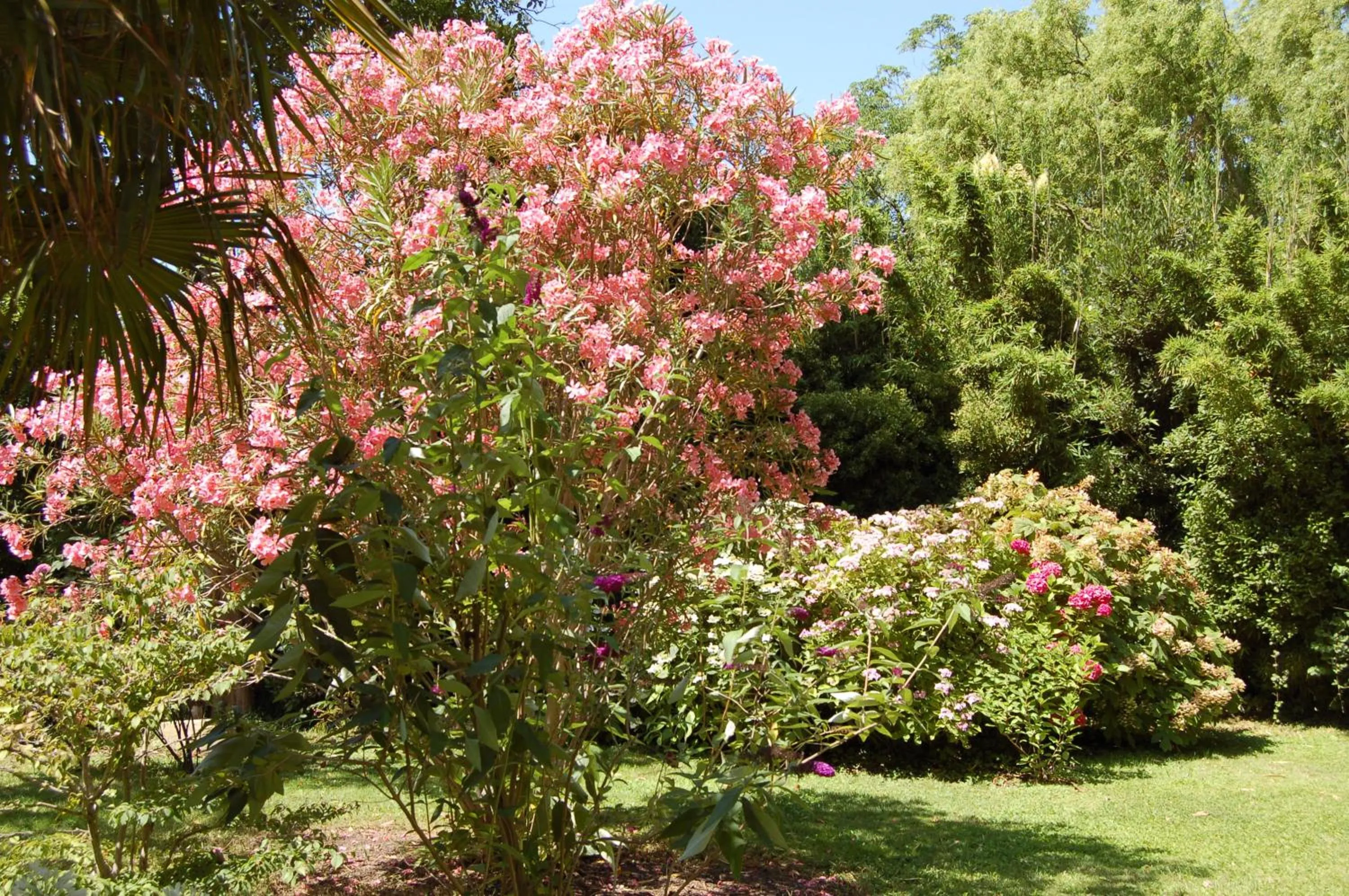 Garden in Le Mas Ferrand