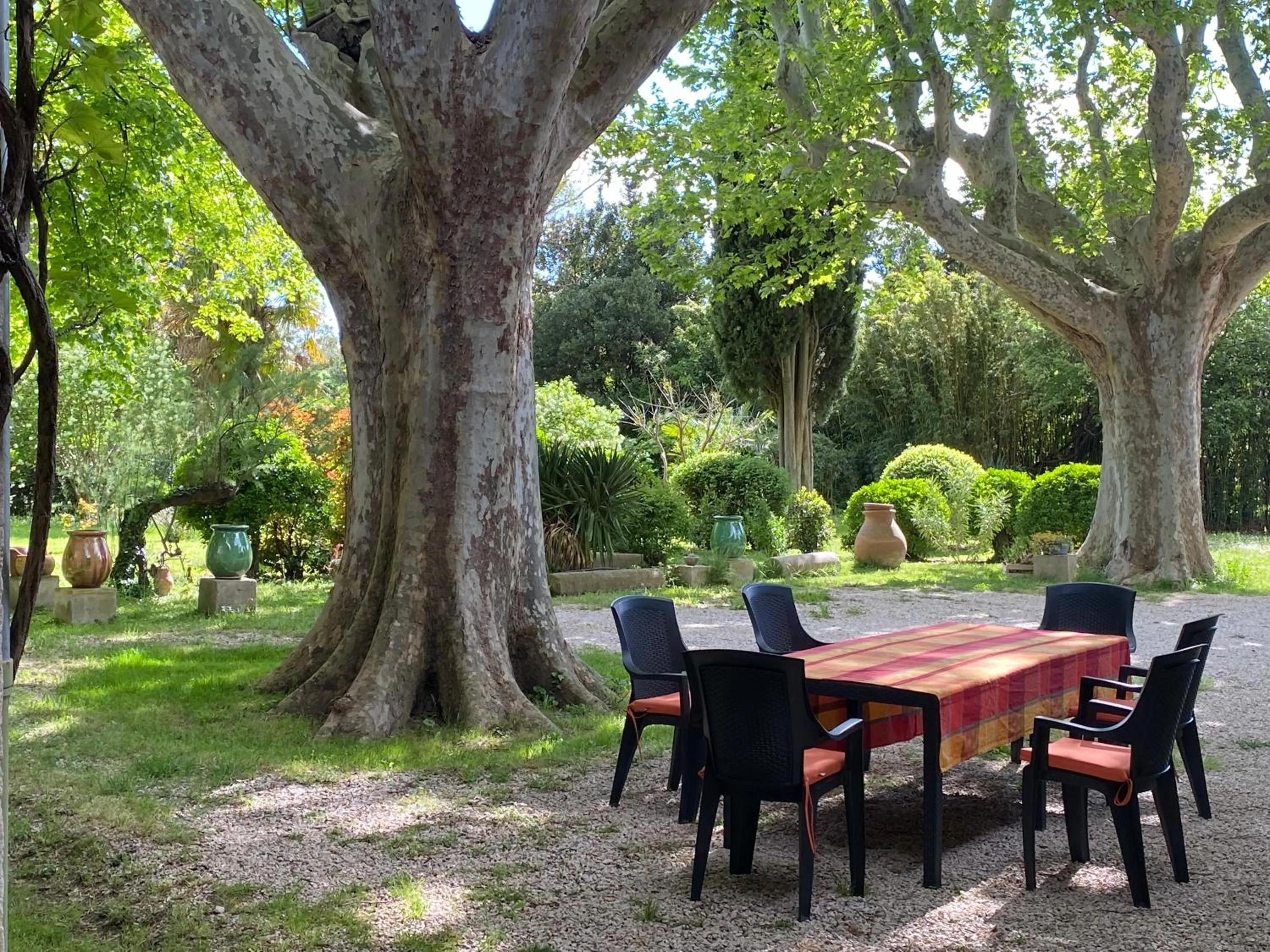 Breakfast in Le Mas Ferrand