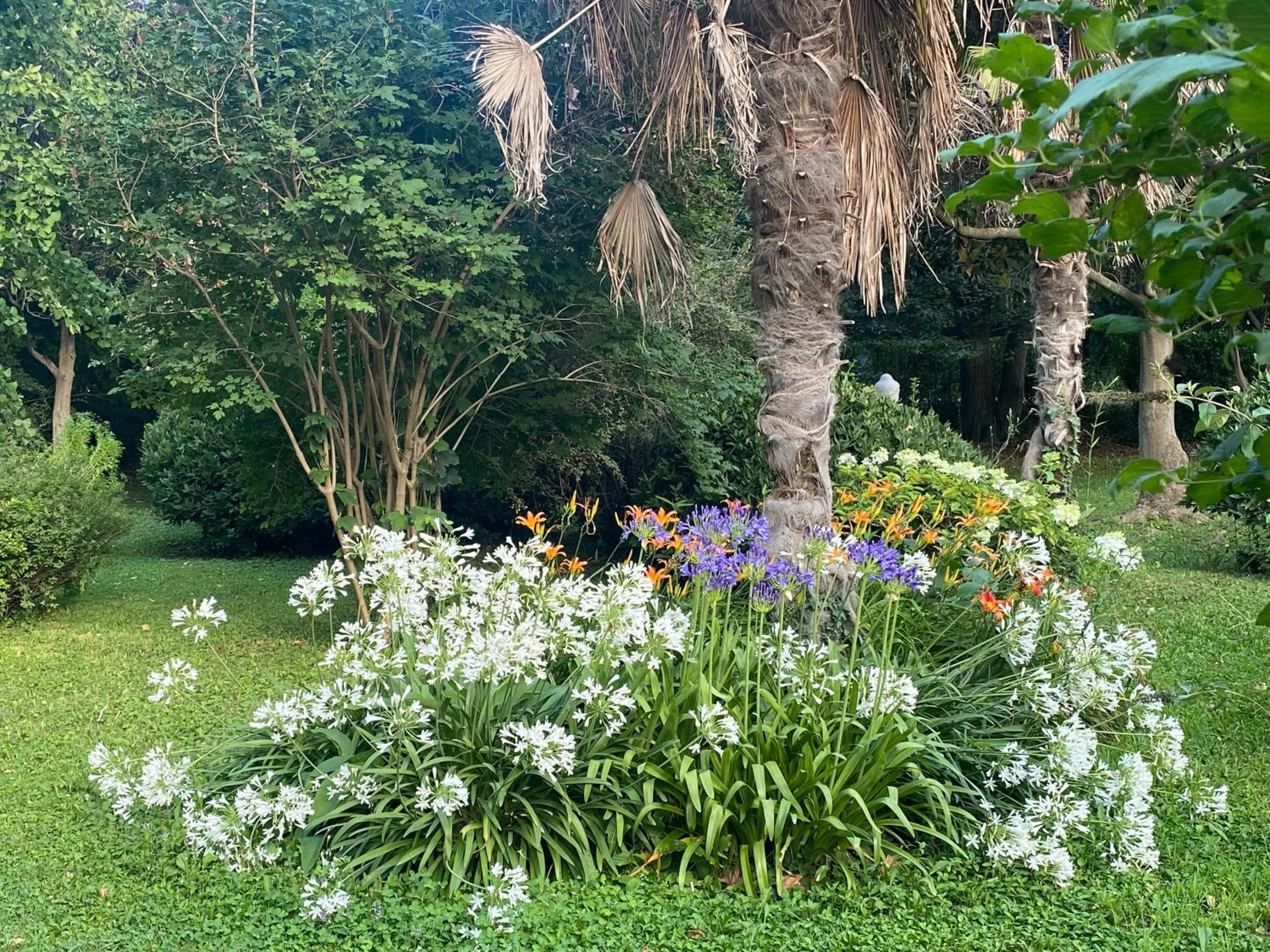 Garden in Le Mas Ferrand