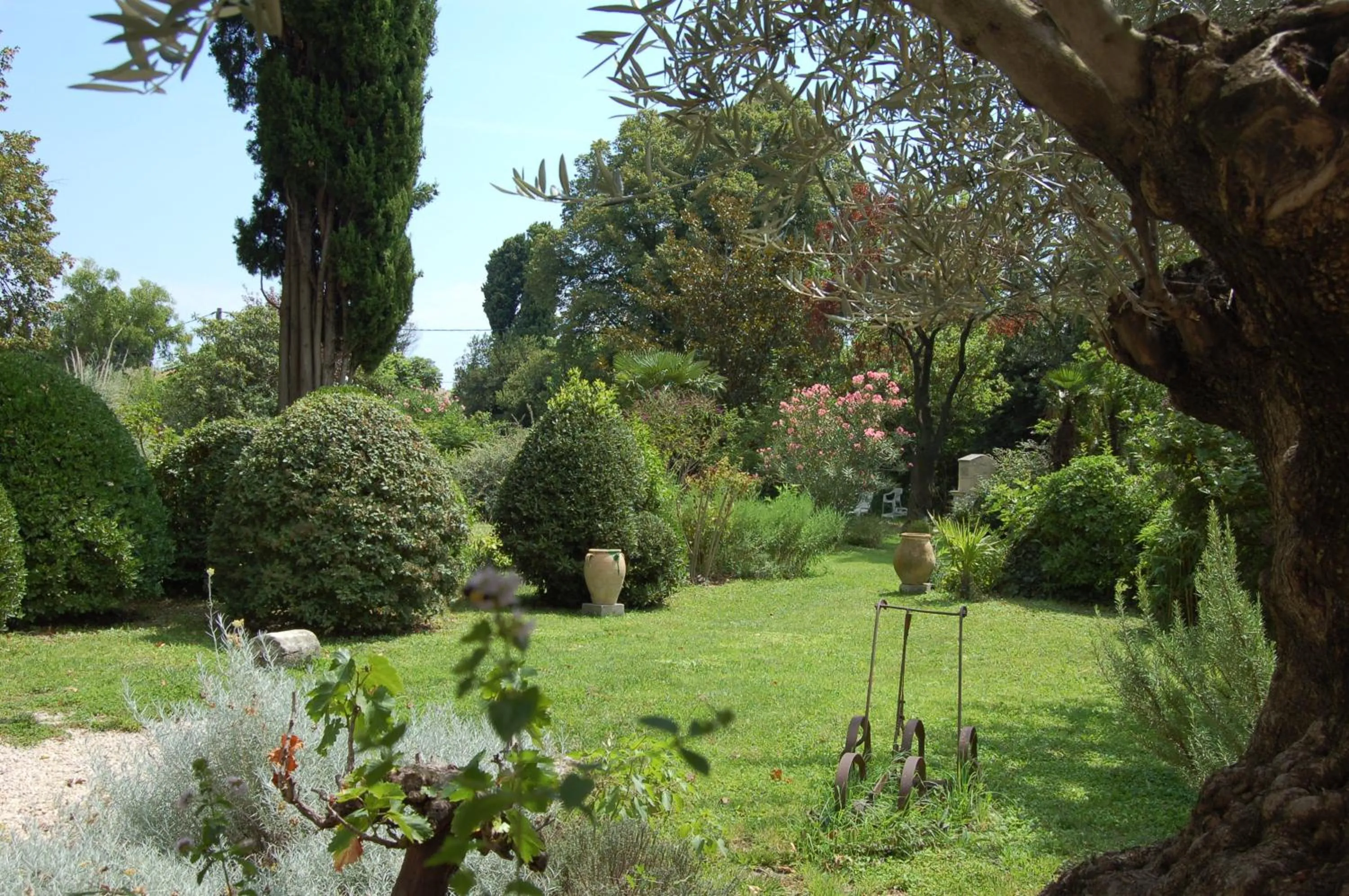 Garden view in Le Mas Ferrand