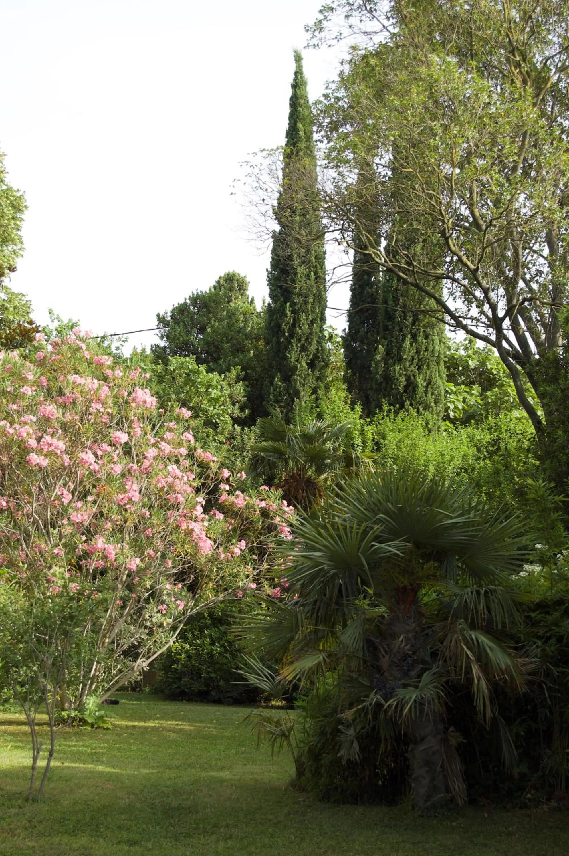 Garden in Le Mas Ferrand