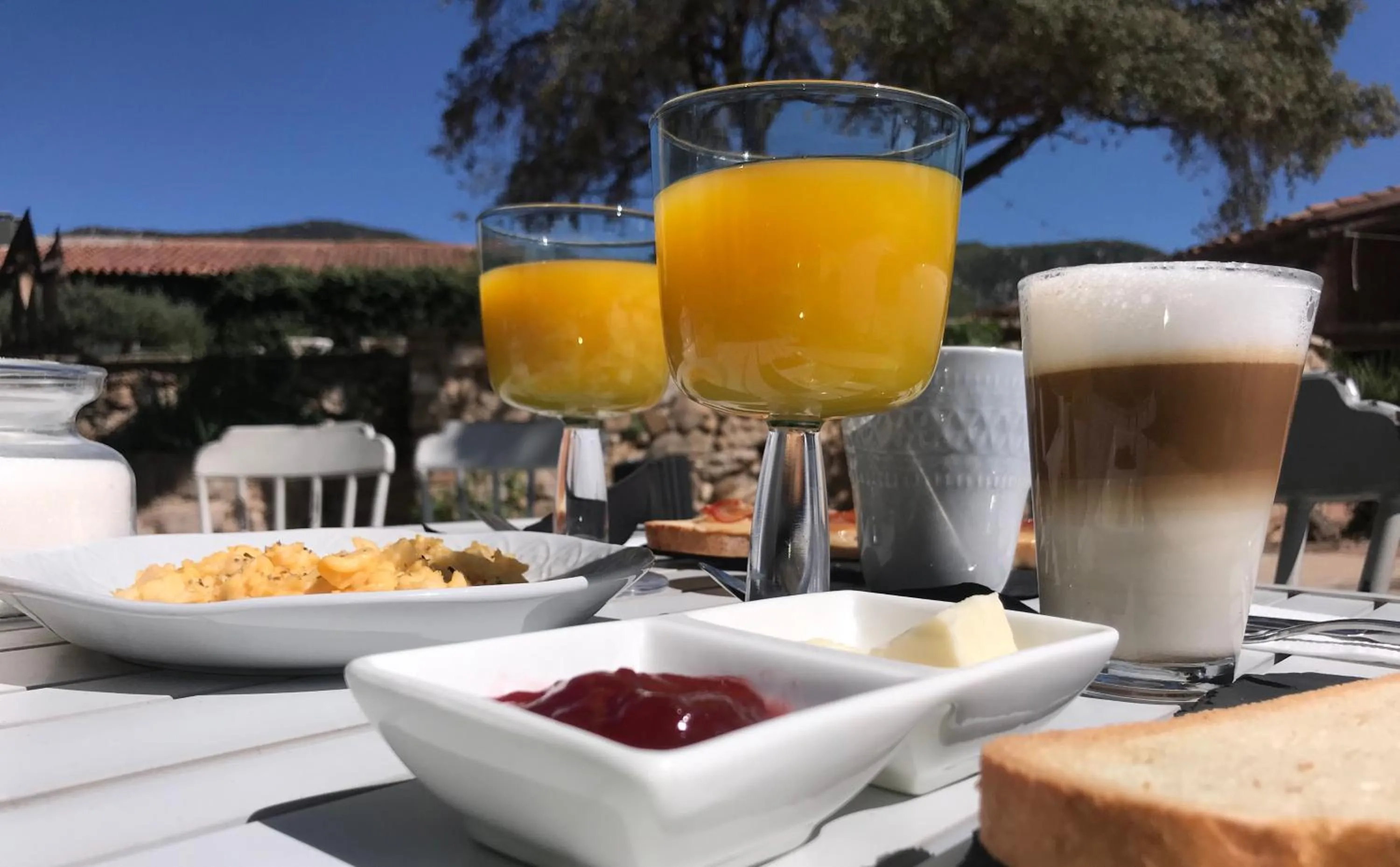 Breakfast in Mas del Sord 1335