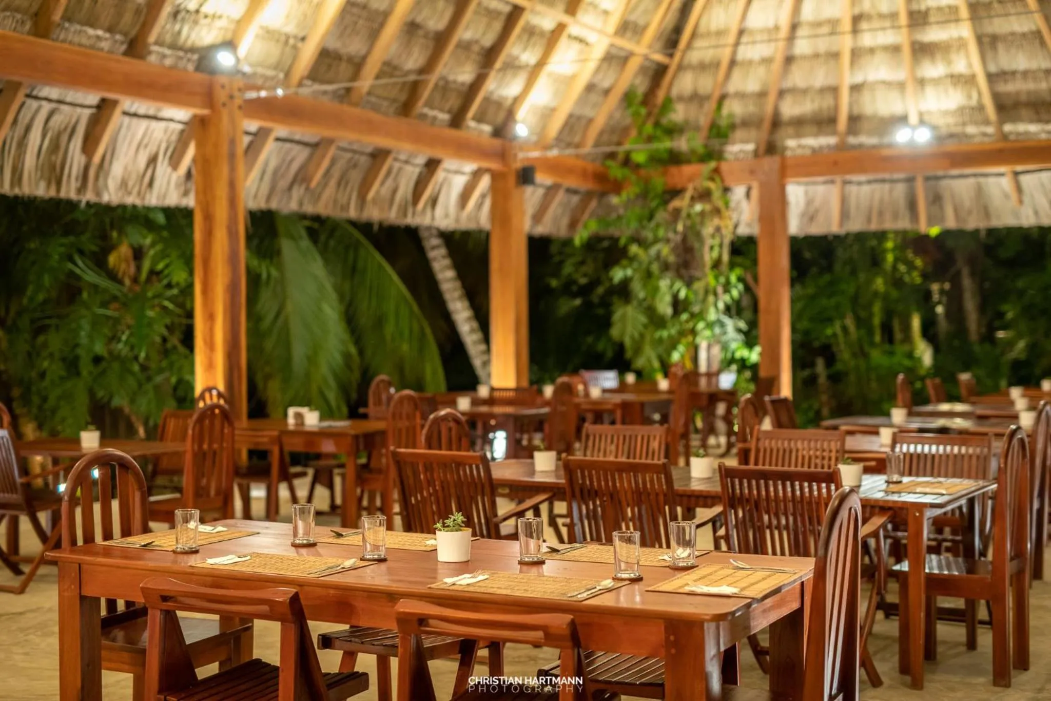 Restaurant/places to eat in Hotel Gringo Perdido