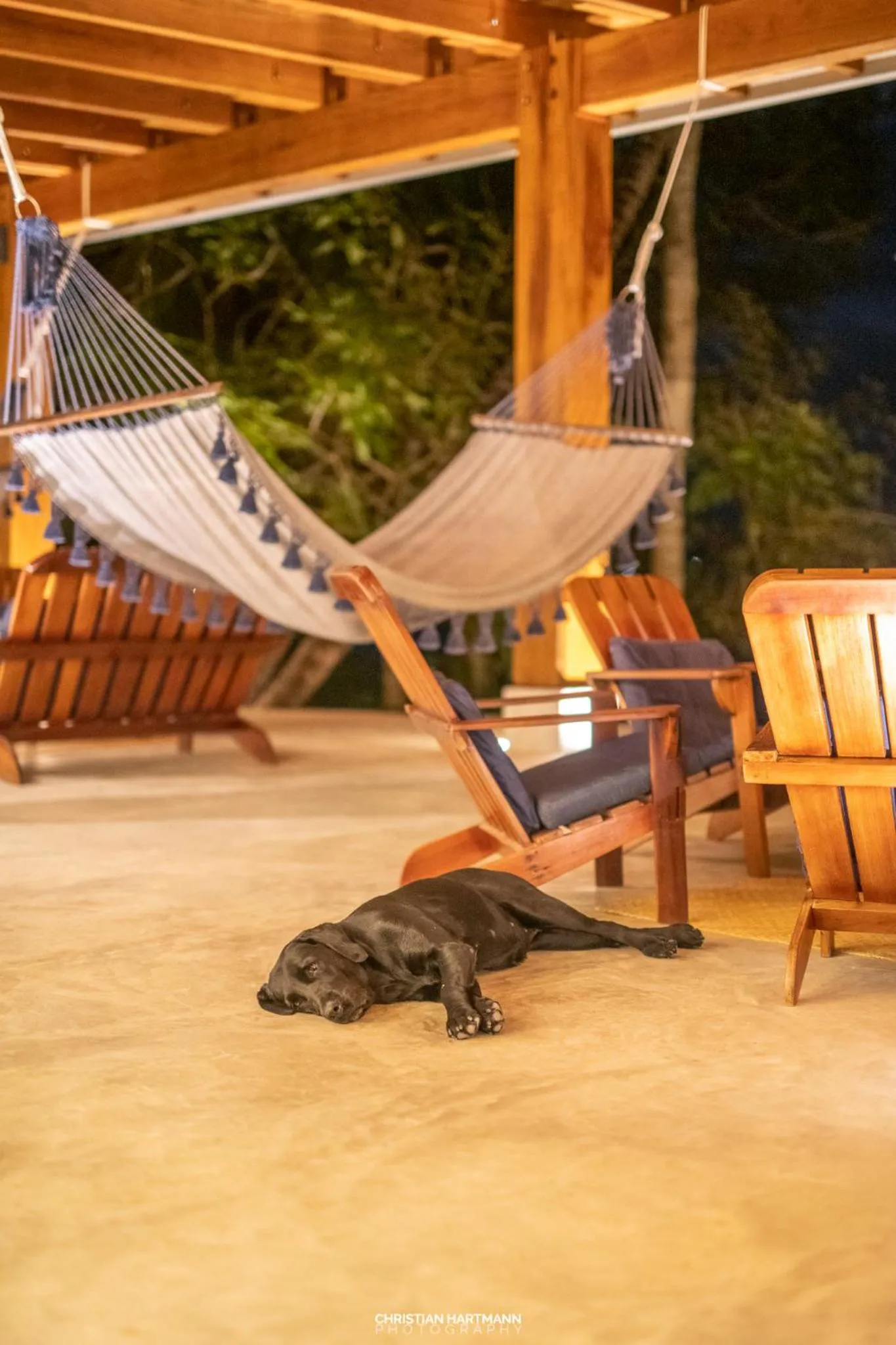 Night in Hotel Gringo Perdido