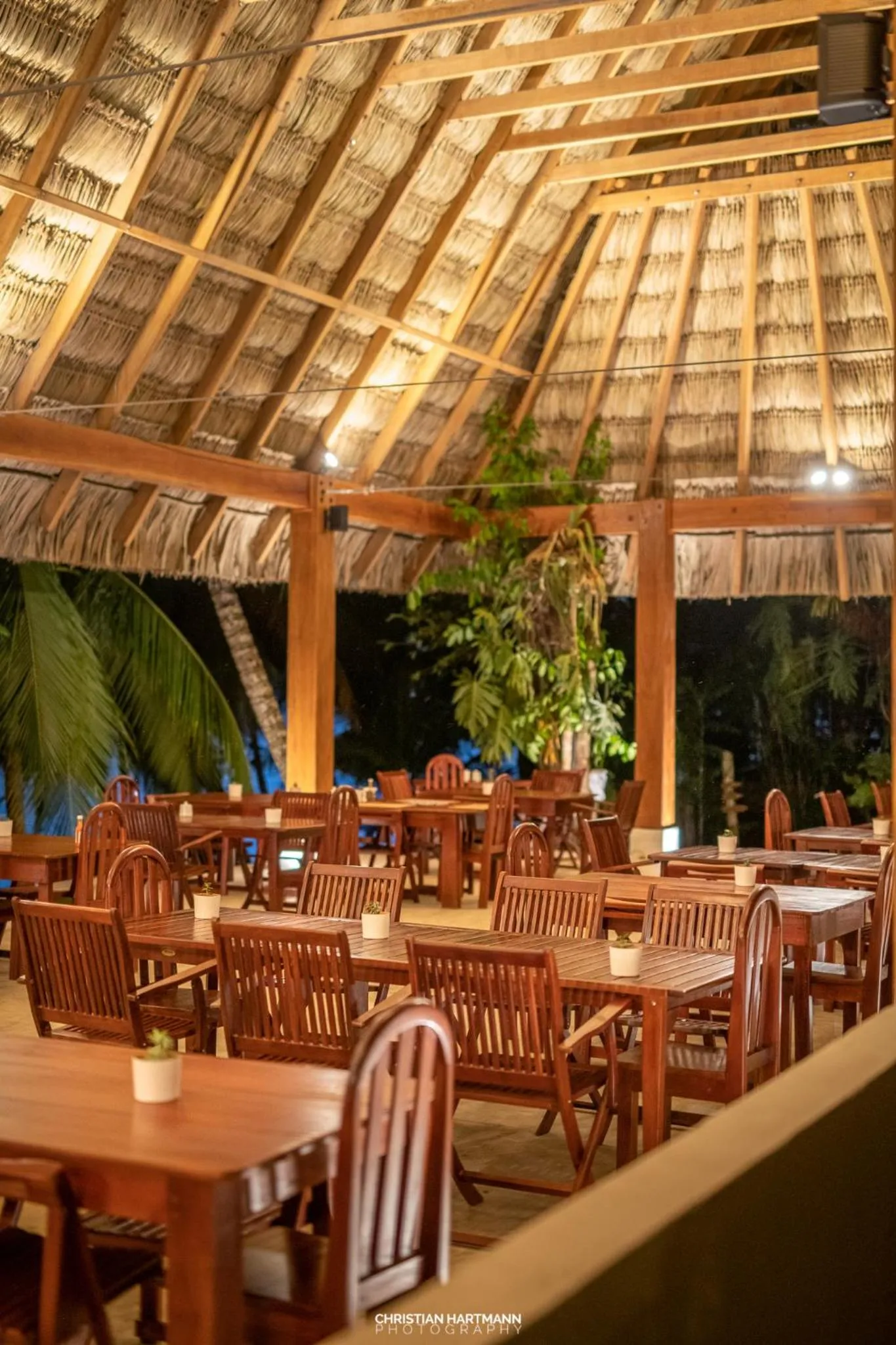 Restaurant/places to eat in Hotel Gringo Perdido