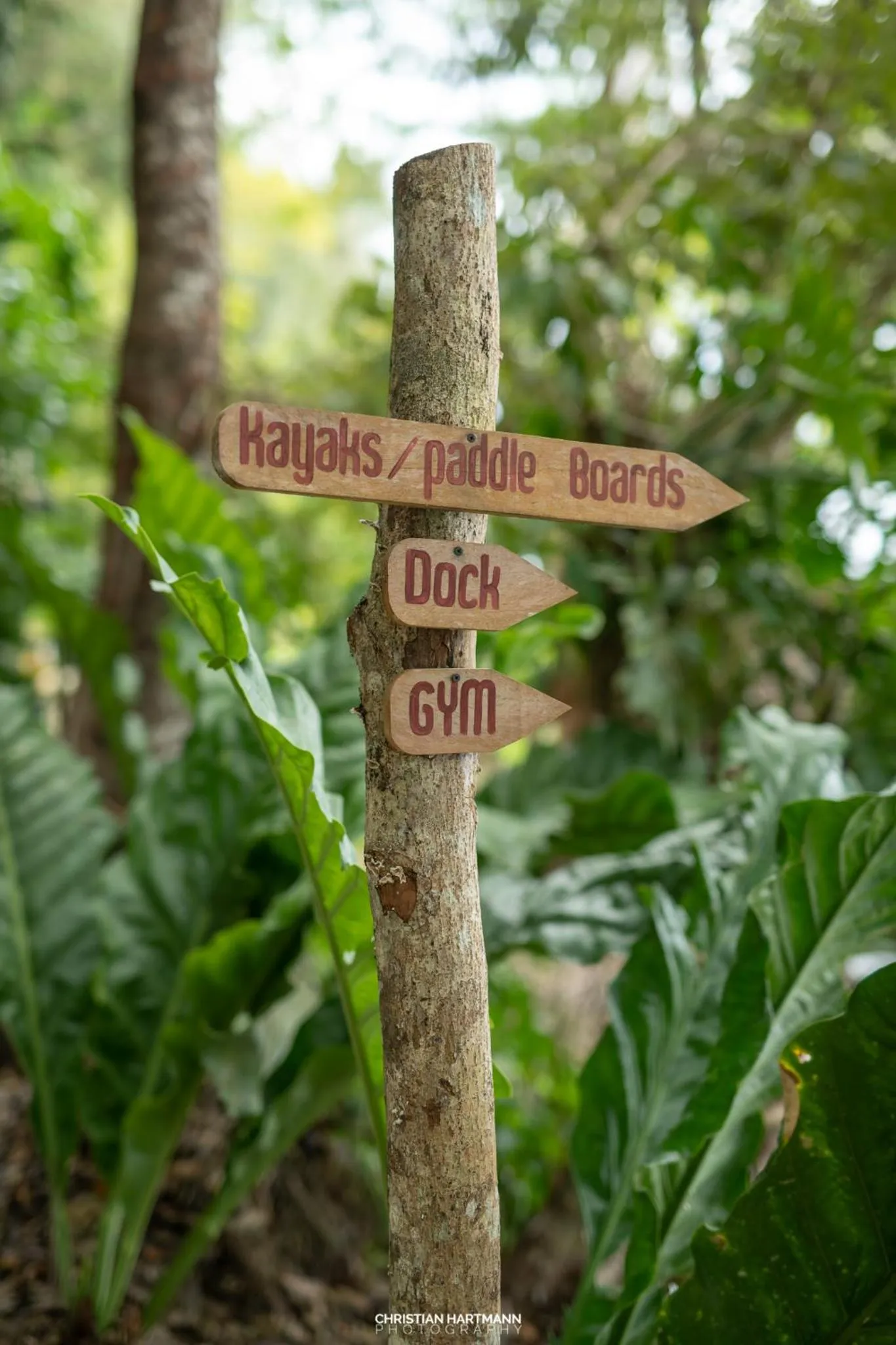 Property logo or sign in Hotel Gringo Perdido