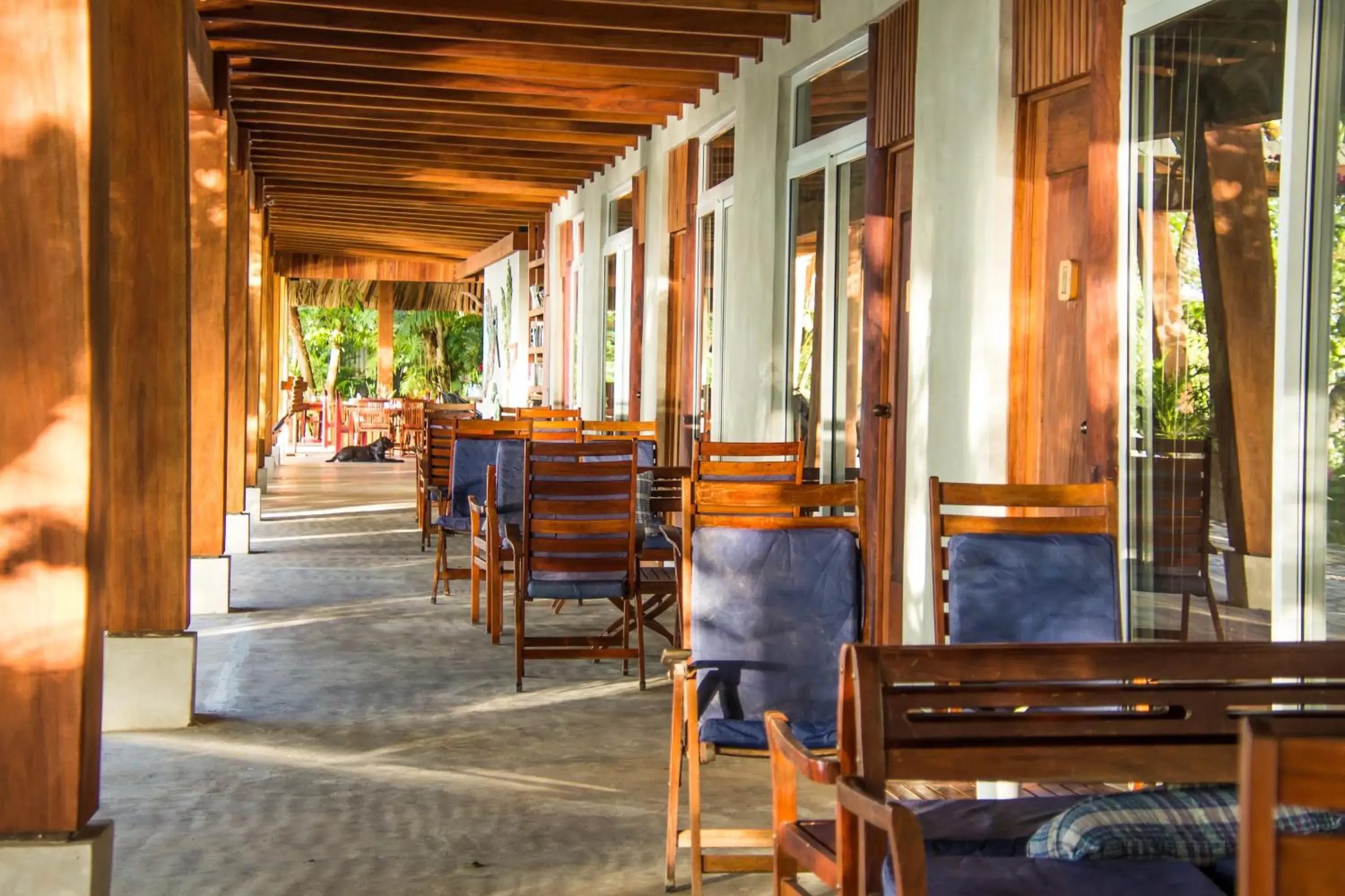 Standard Quadruple Room - single occupancy in Hotel Gringo Perdido Standard Quadruple Room - single occupancy in Hotel Gringo Perdido