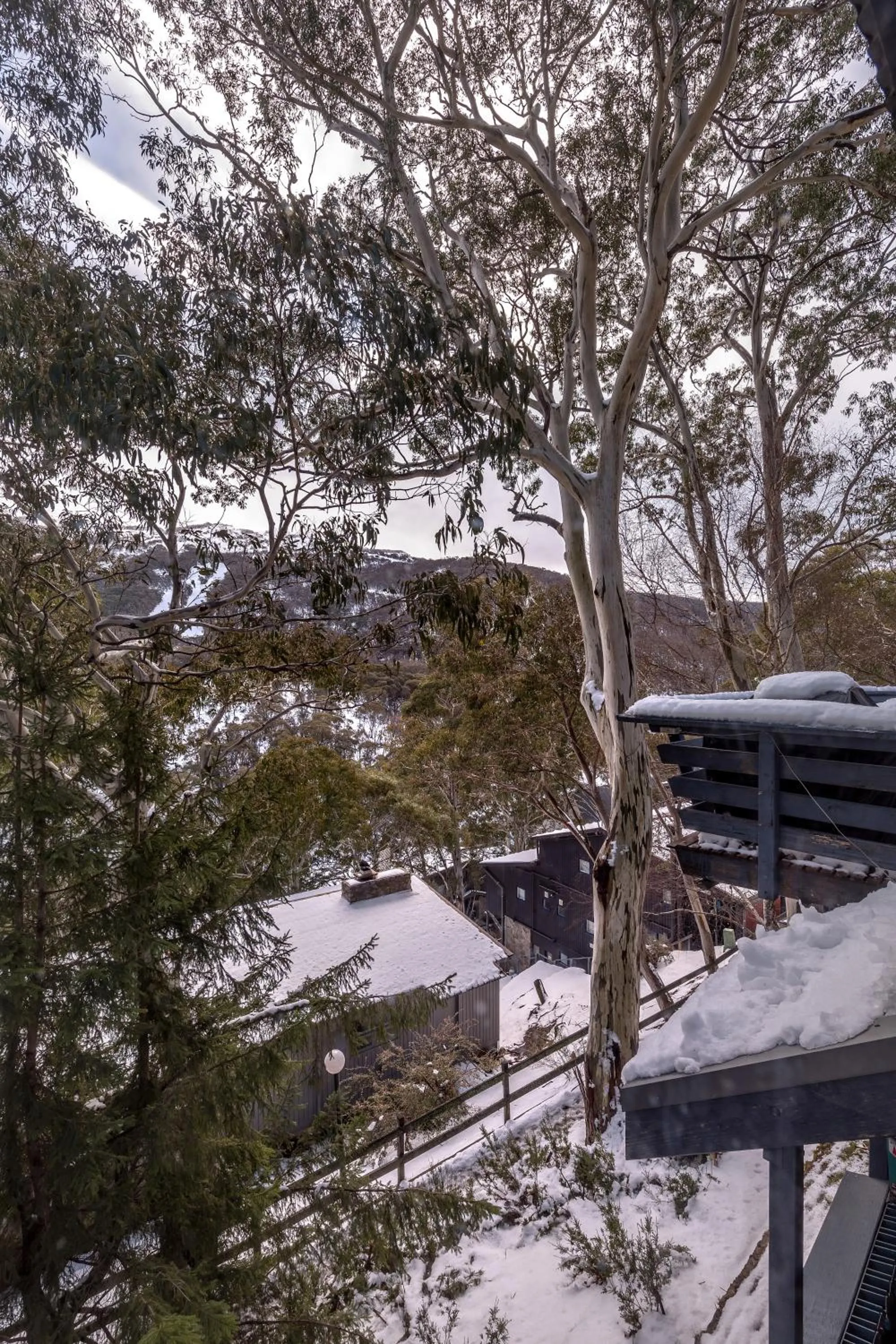 Mountain view in Pure Chalet Thredbo