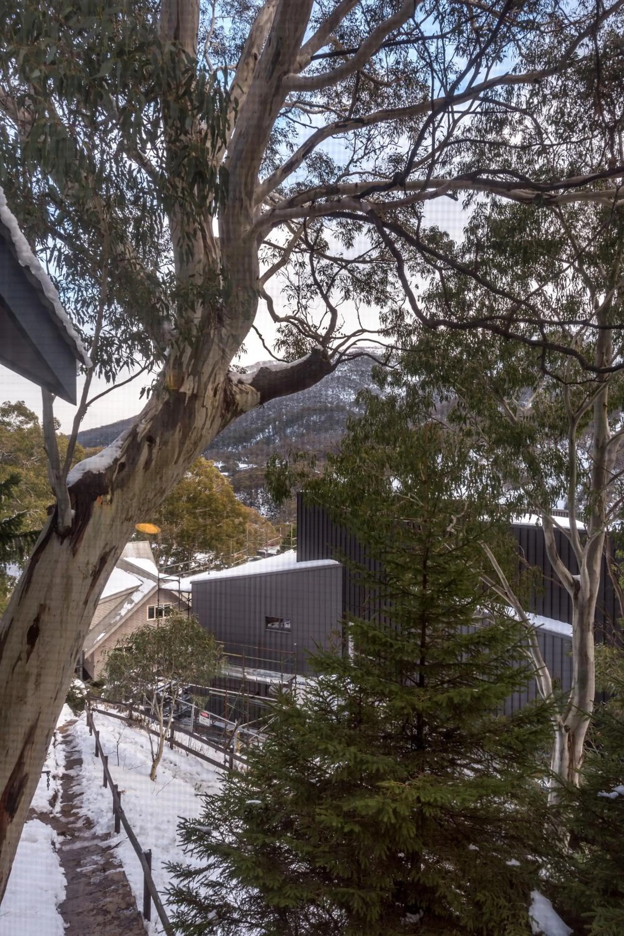 View (from property/room) in Pure Chalet Thredbo