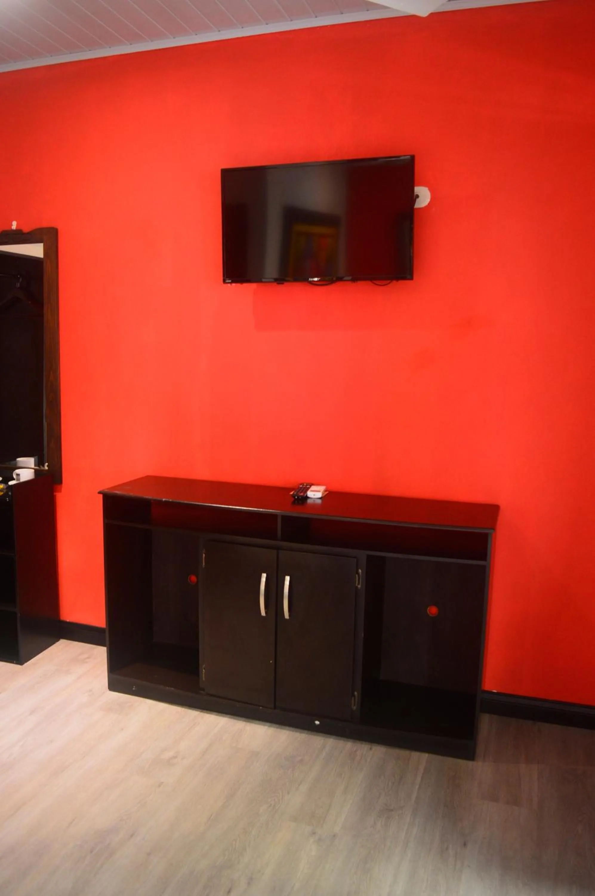 TV and multimedia in Millenium Manuel Antonio Park and beach