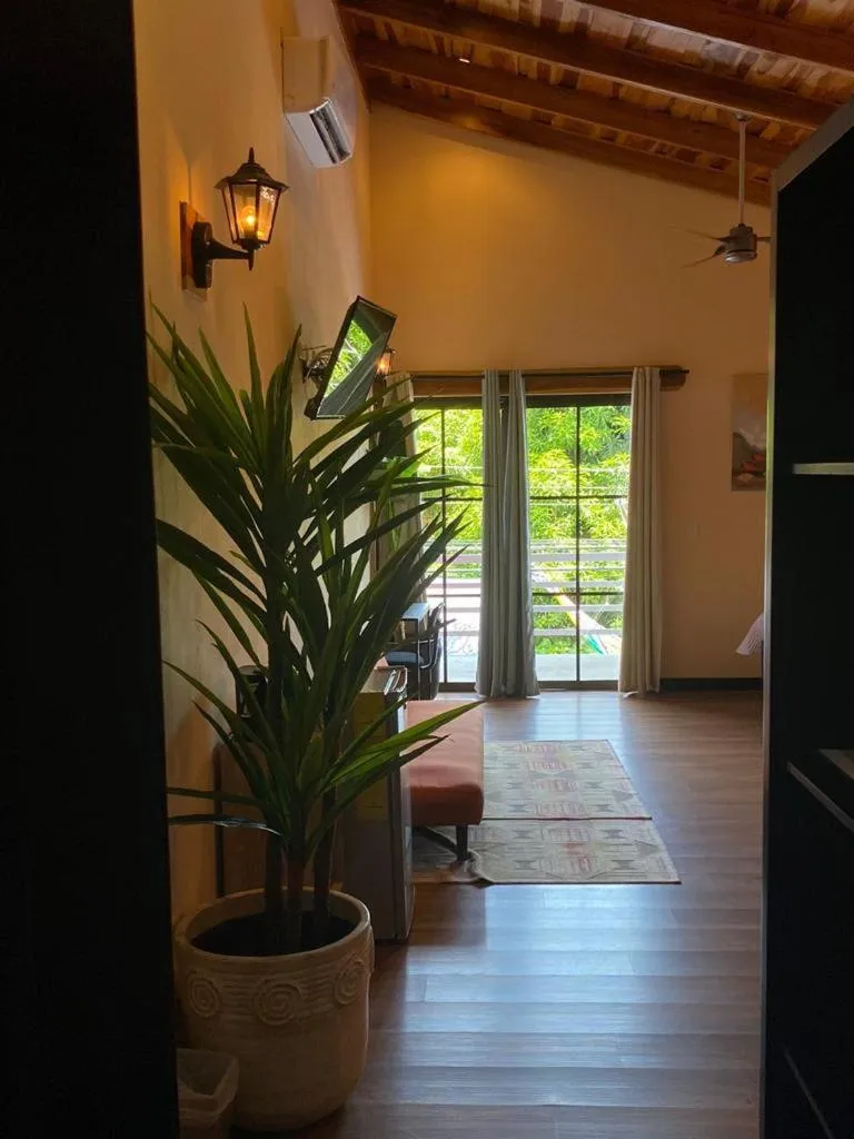 Garden view in Millenium Manuel Antonio Park and beach