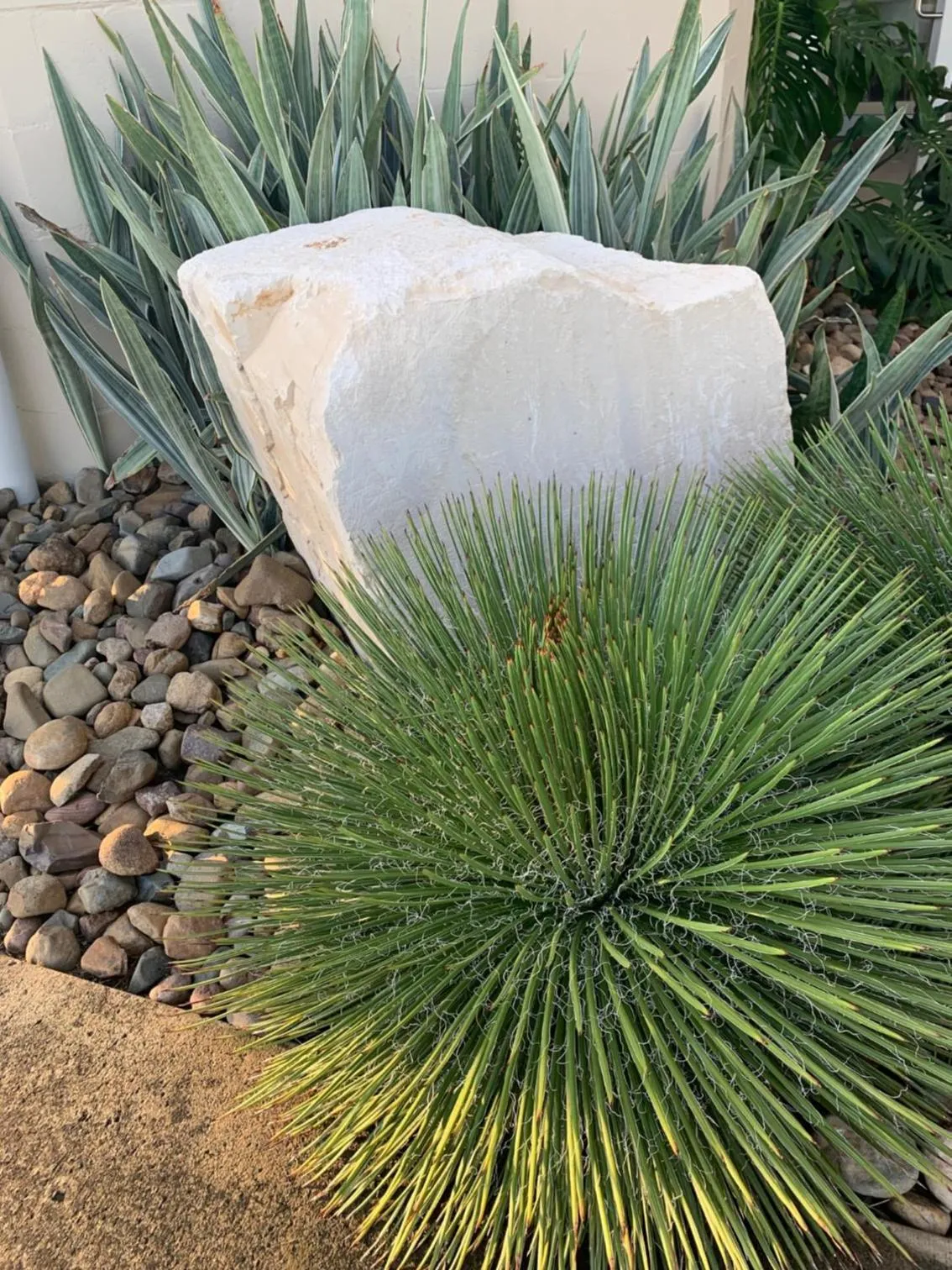 Garden in Banana Hotel Motel