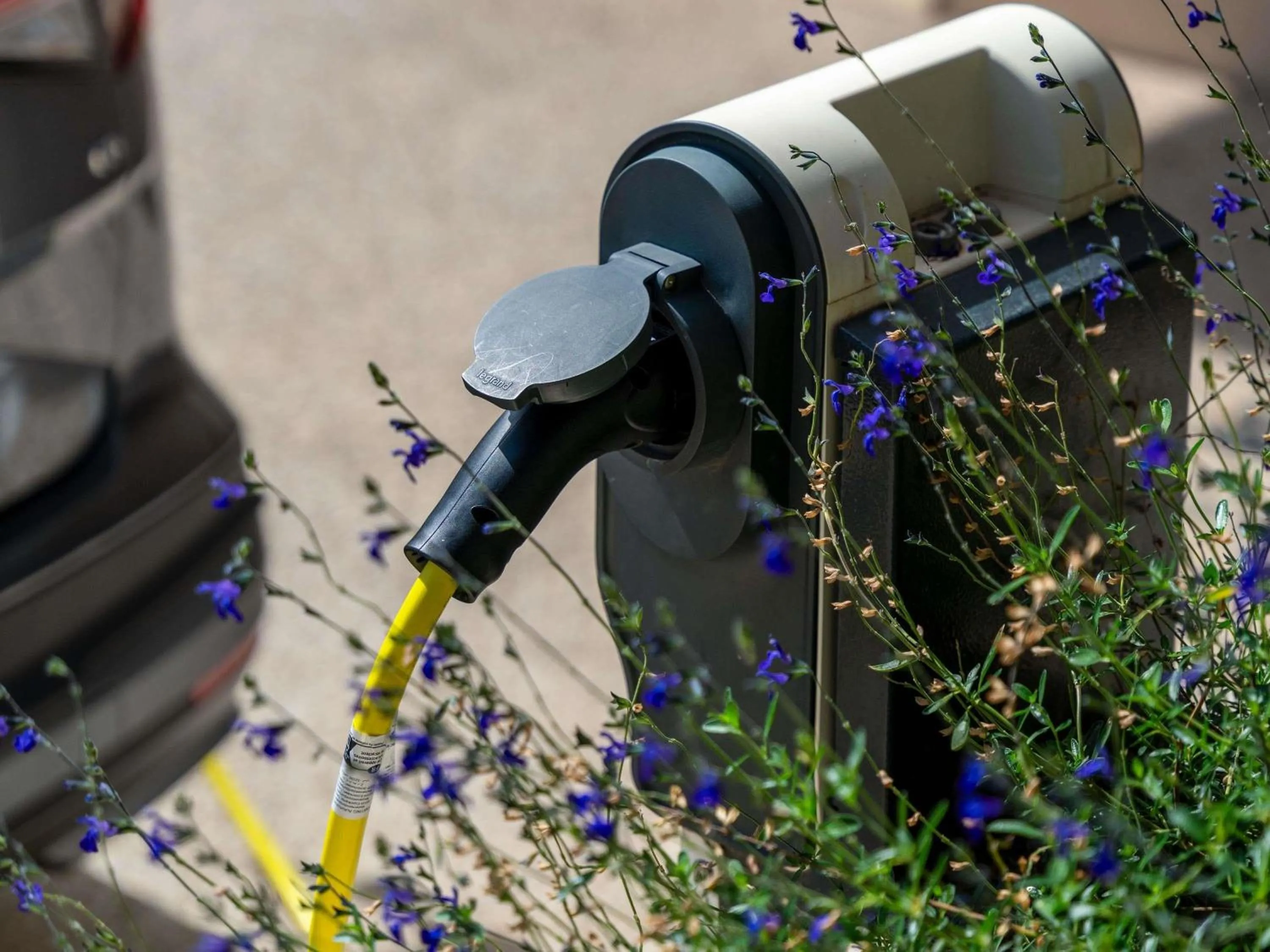 Other in Mercure Avignon Gare TGV