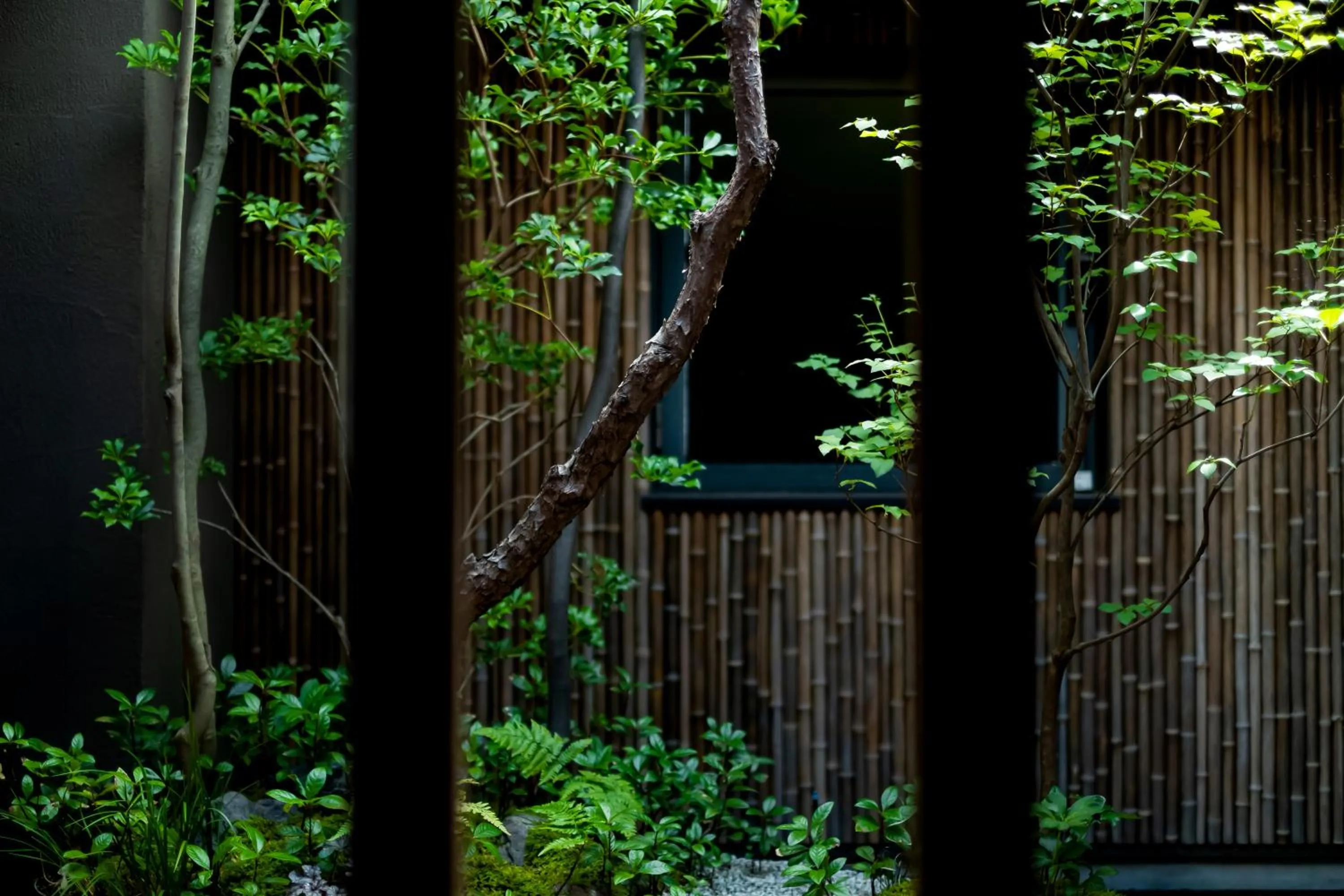 Photo of the whole room in GOZAN HOTEL & SERVICED APARTMENT Higashiyama Sanjo